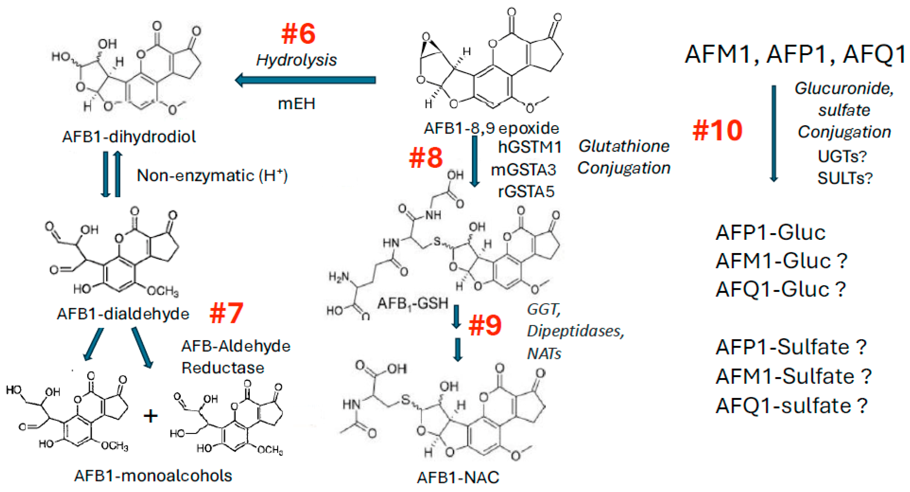 Toxins 17 00030 g005 Toxins 17 00030 g005