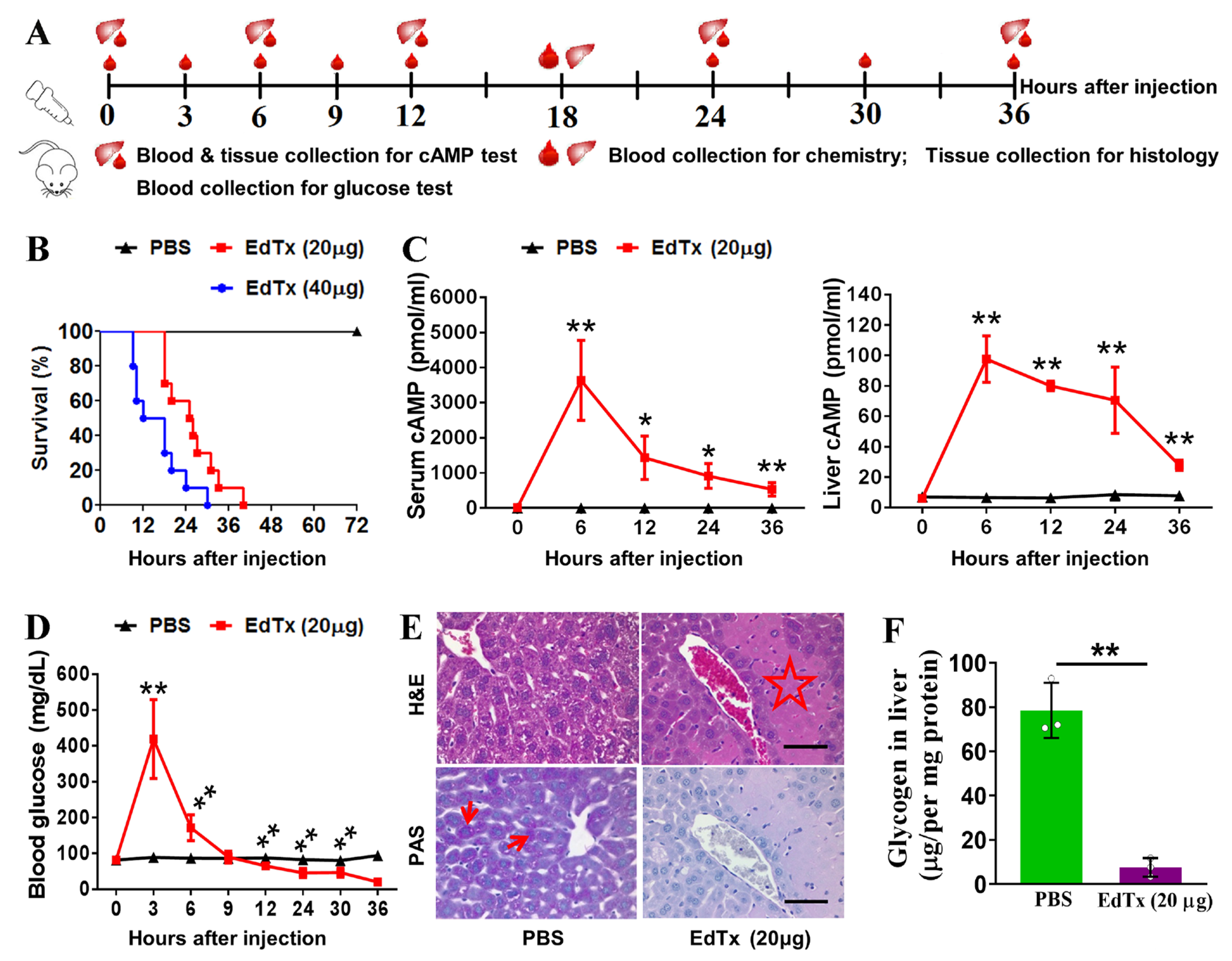 Toxins 17 00054 g001