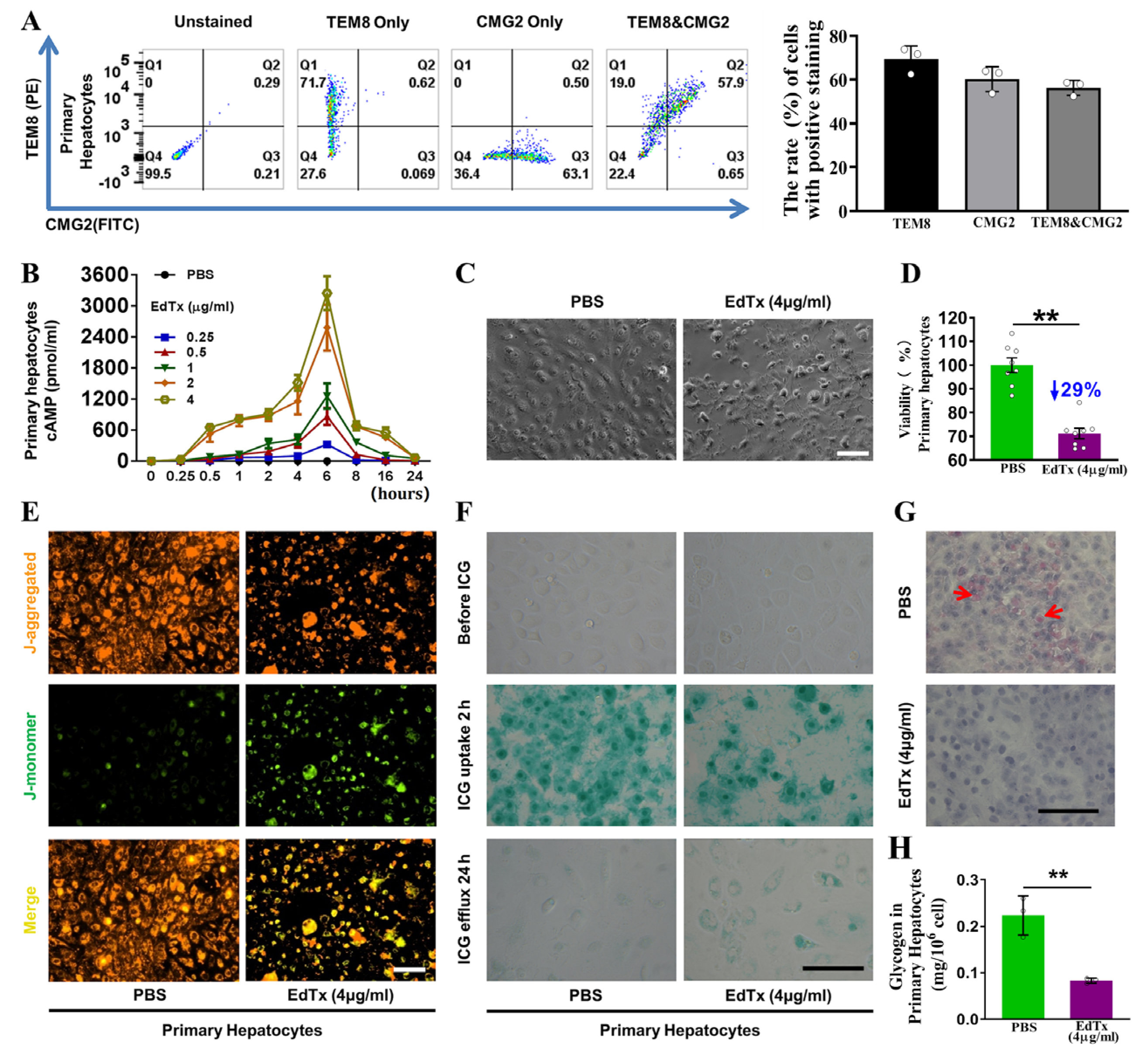 Toxins 17 00054 g002
