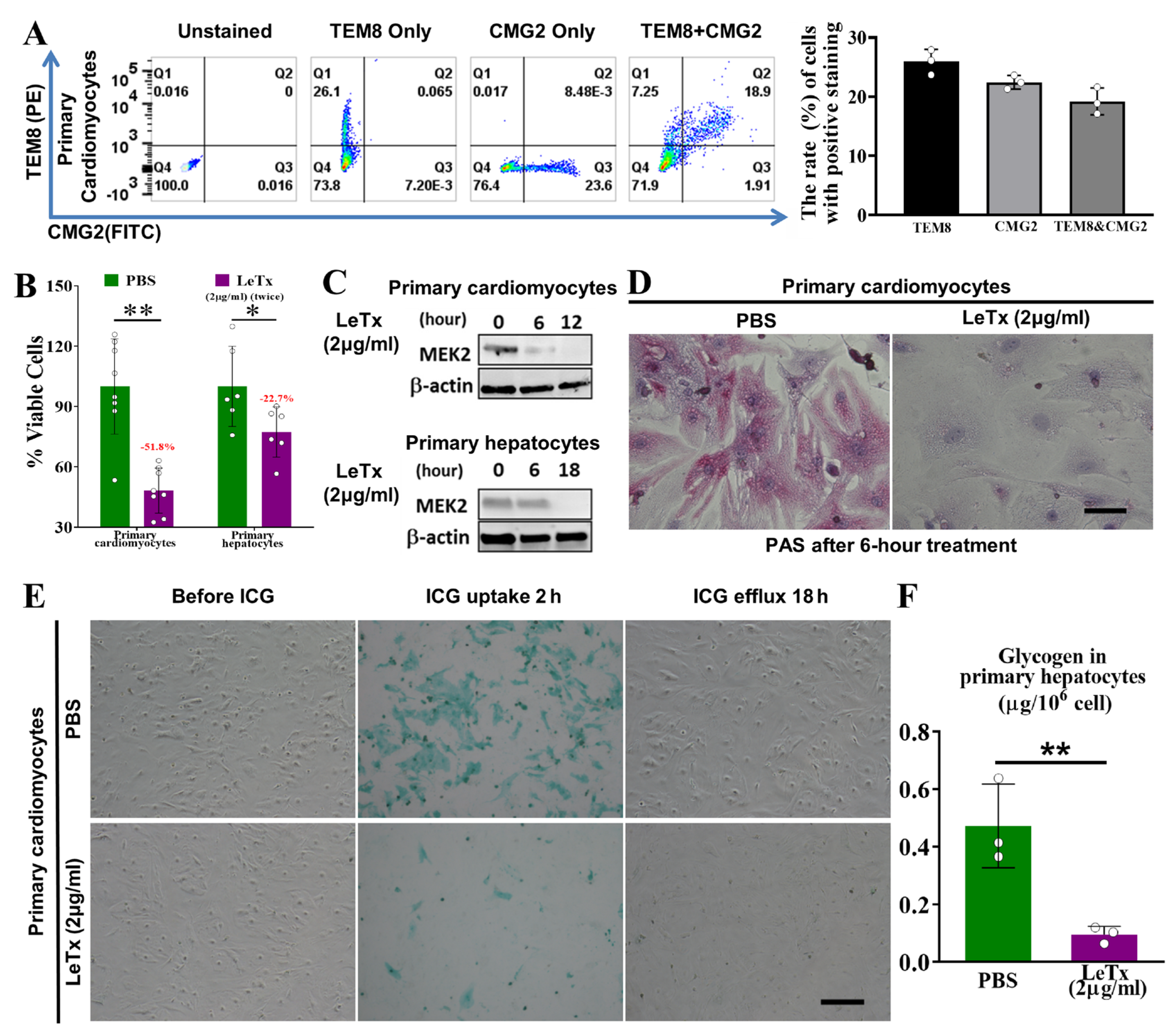 Toxins 17 00054 g004