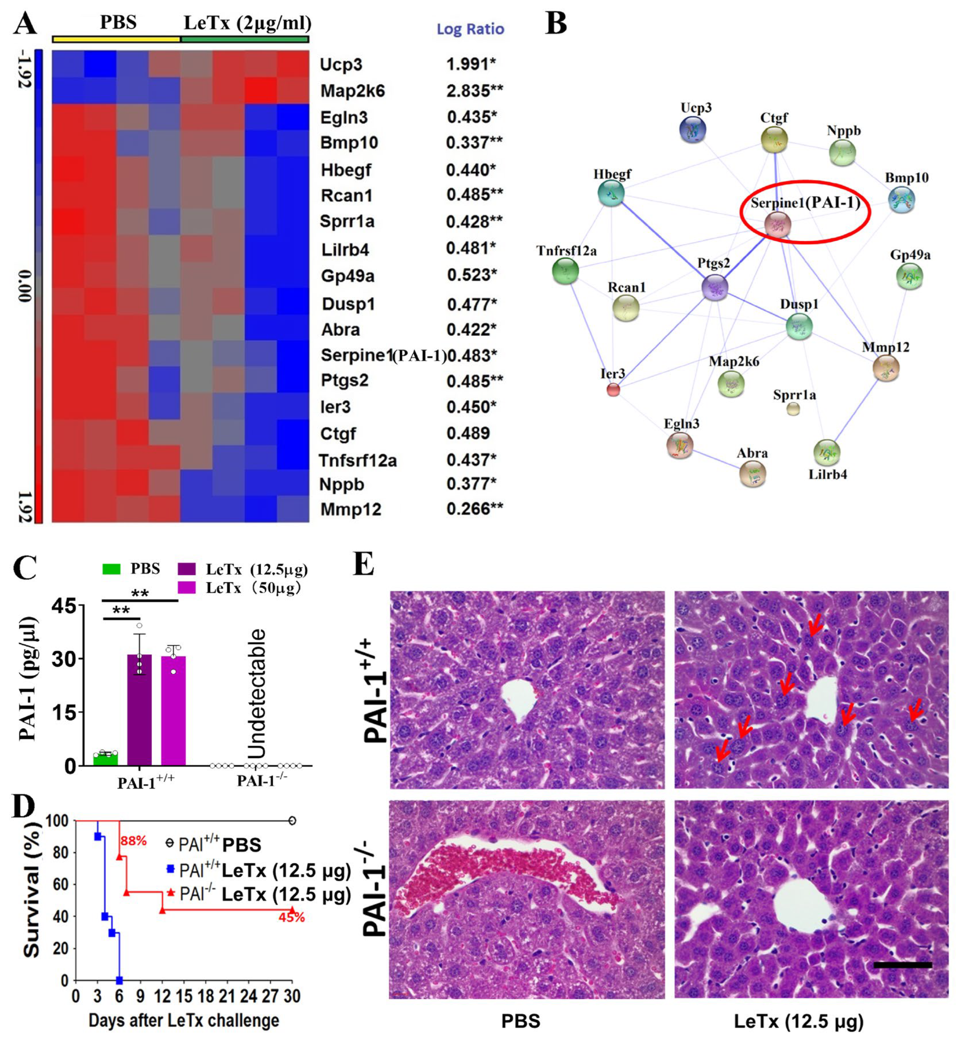 Toxins 17 00054 g005