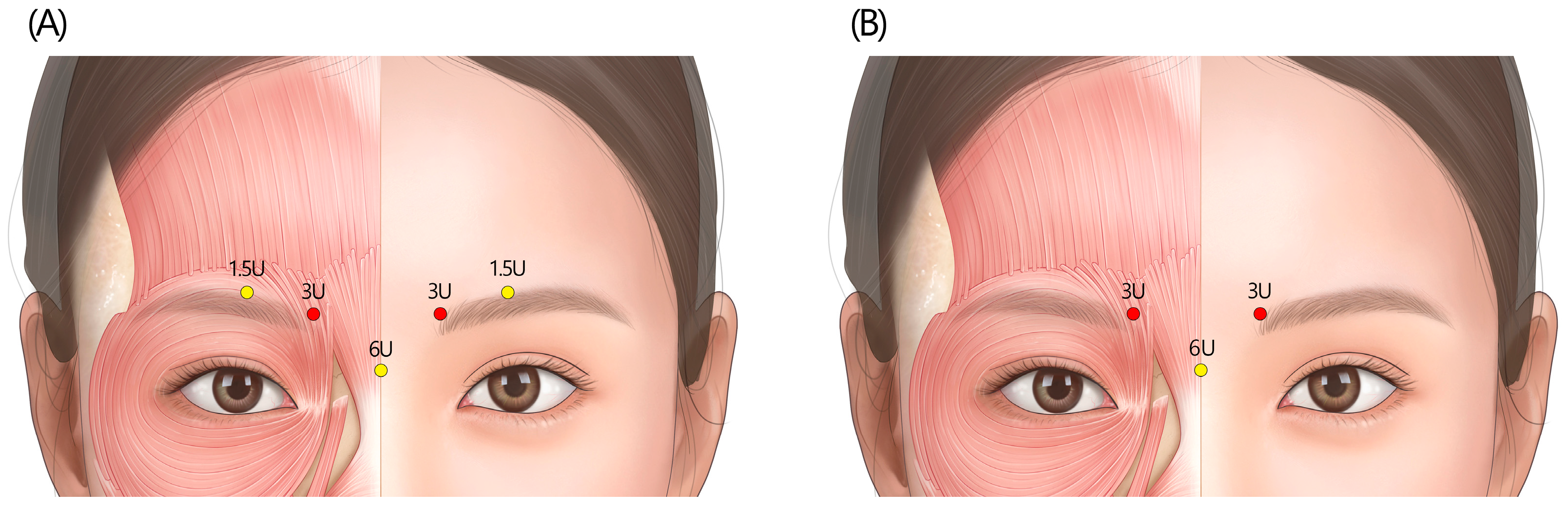 Toxins 17 00061 g001