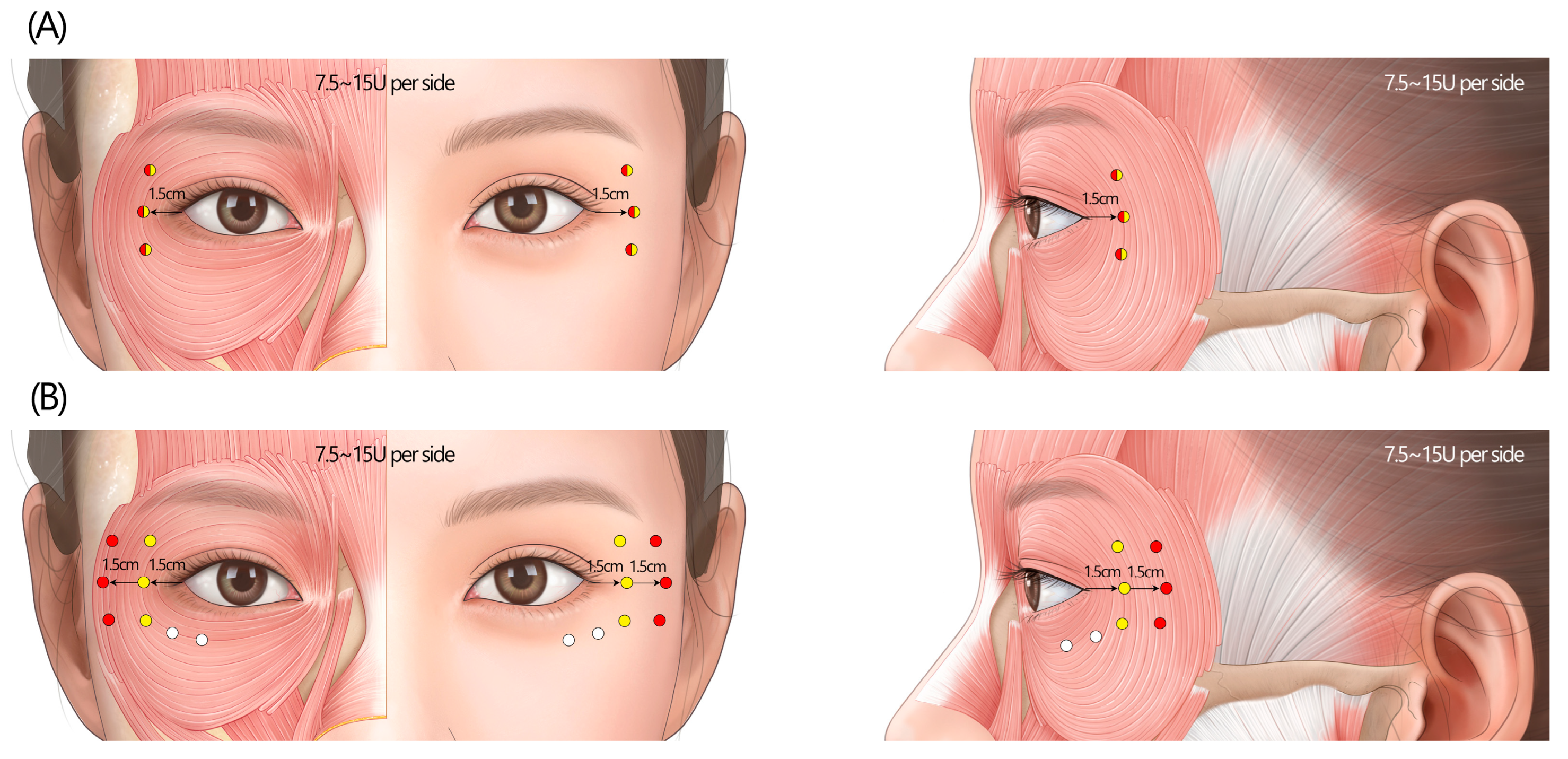 Toxins 17 00061 g006