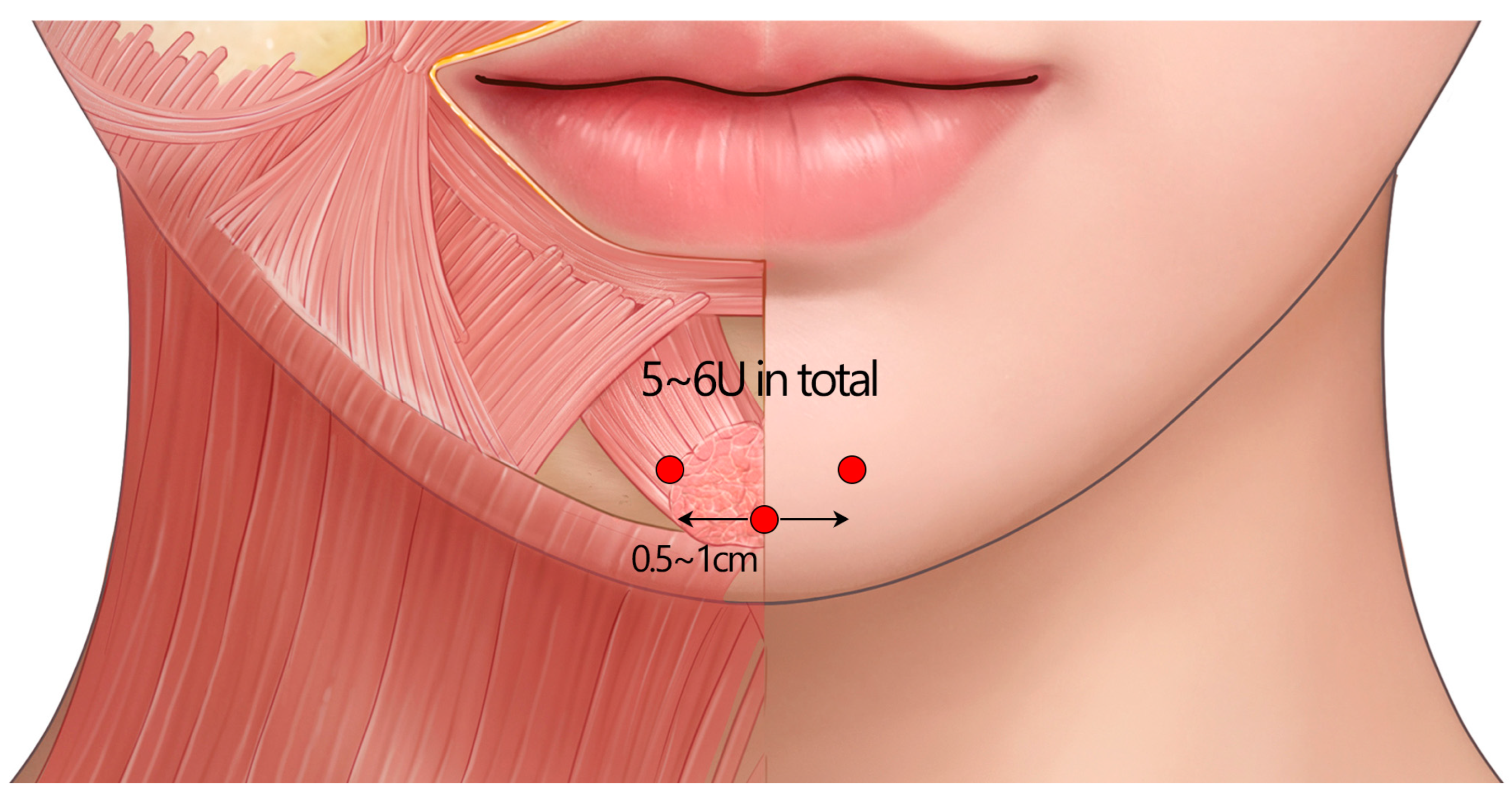 Toxins 17 00061 g012