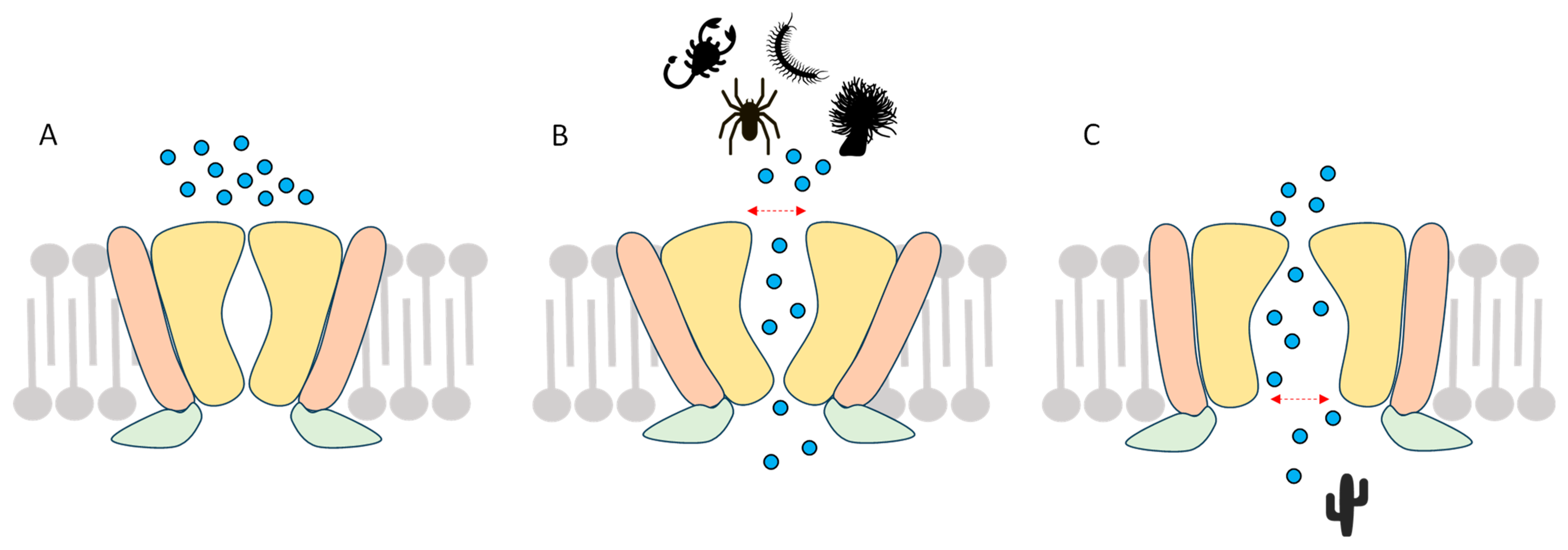 Toxins 17 00064 g004