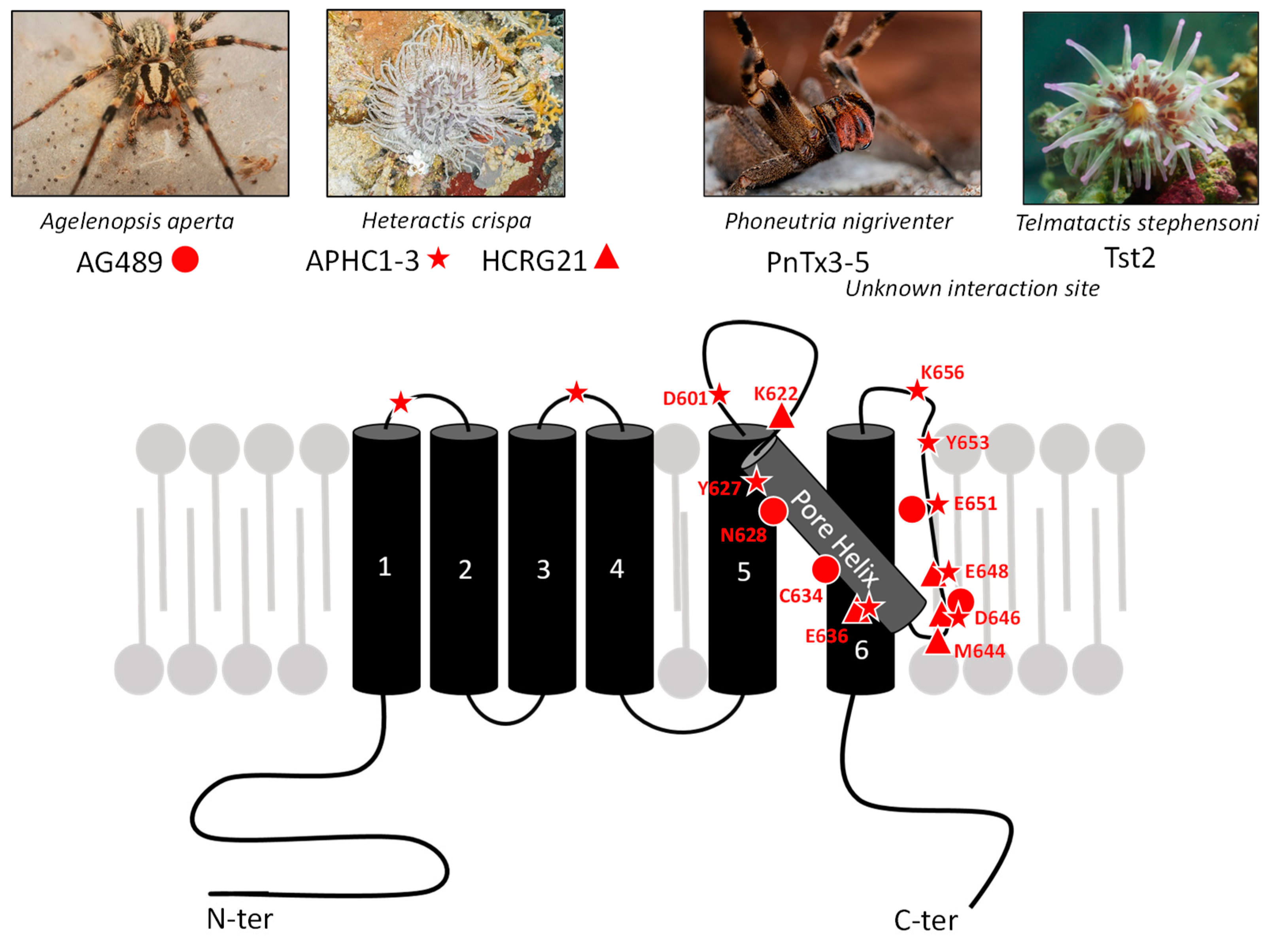 Toxins 17 00064 g005