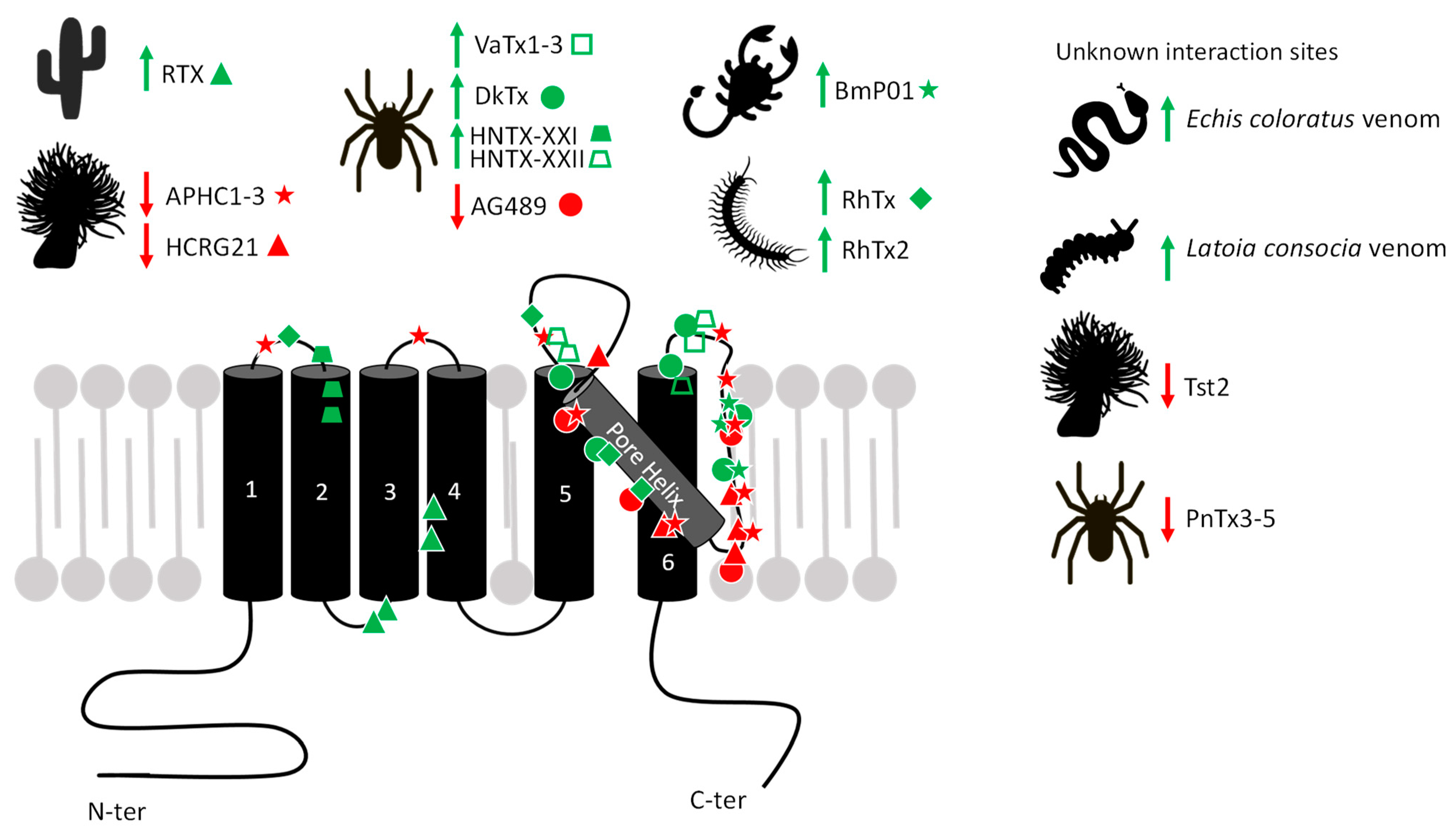 Toxins 17 00064 g006