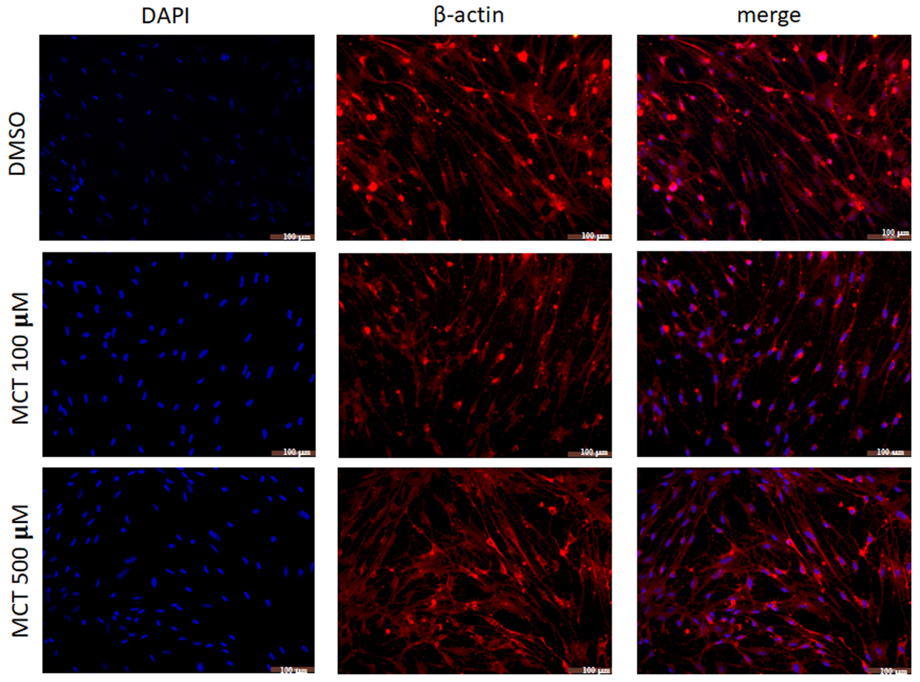 Toxins 17 00065 g003