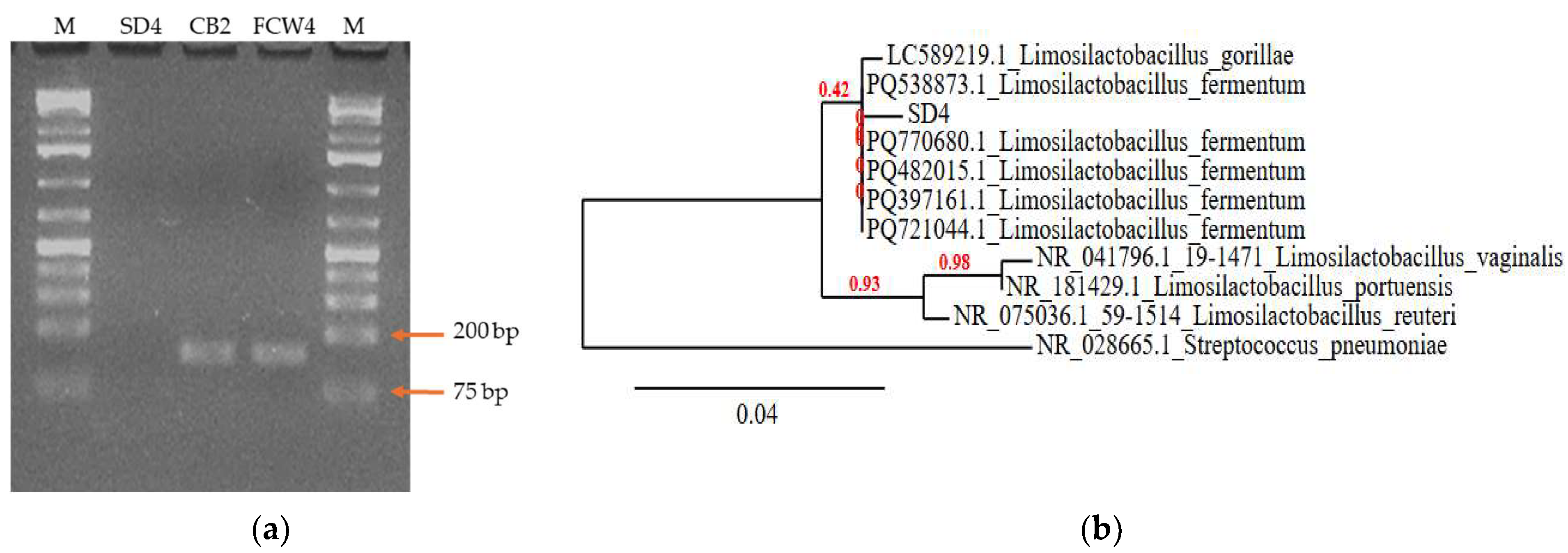 Toxins 17 00068 g001