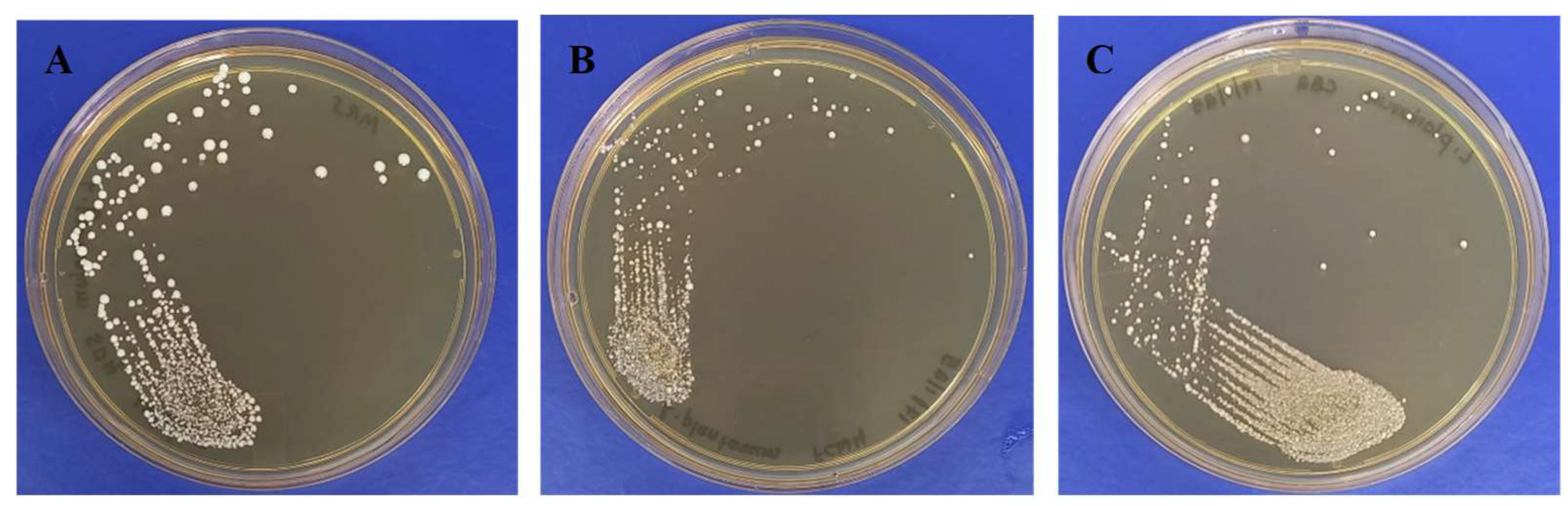 Toxins 17 00068 g002