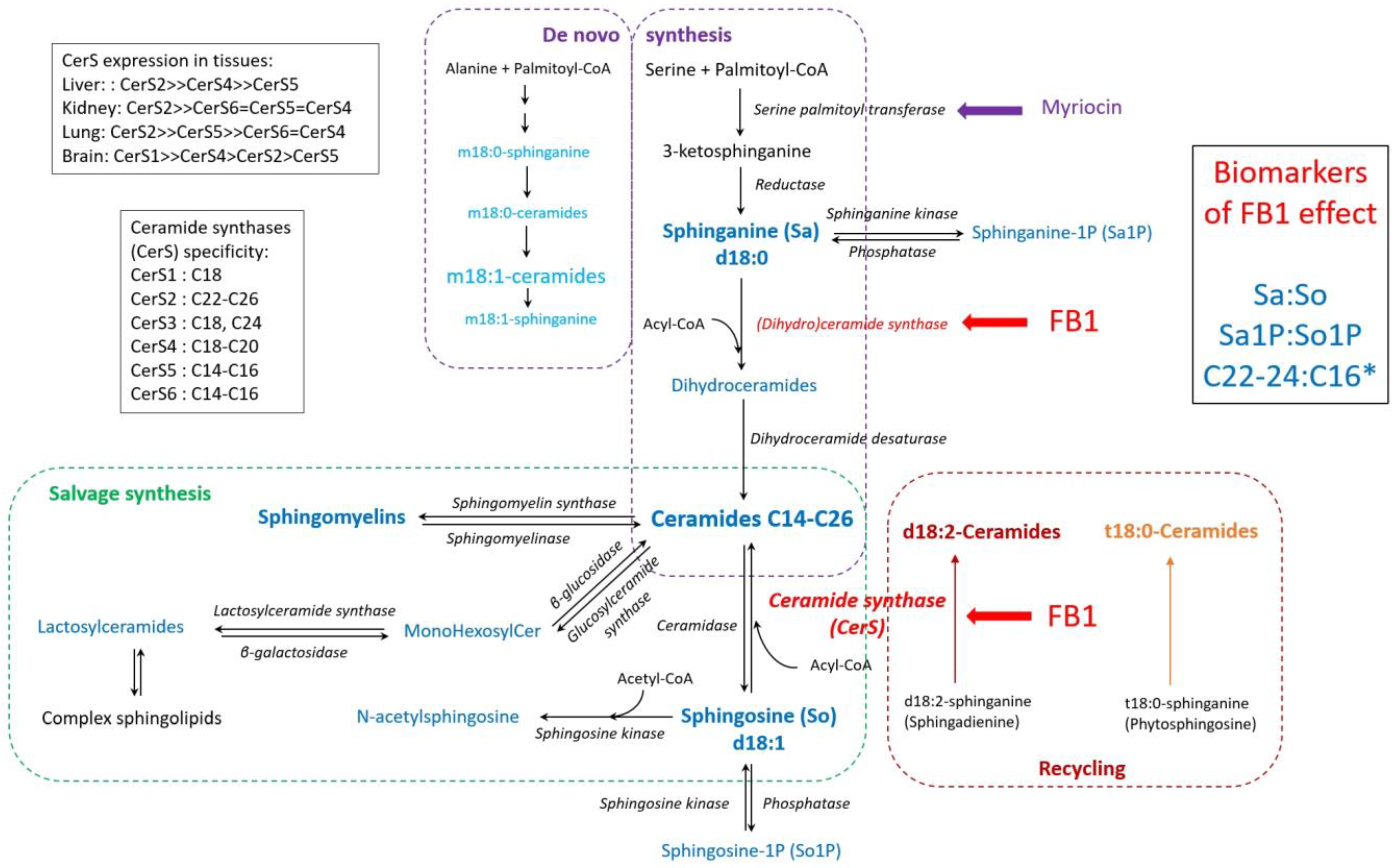 Toxins 17 00069 g006
