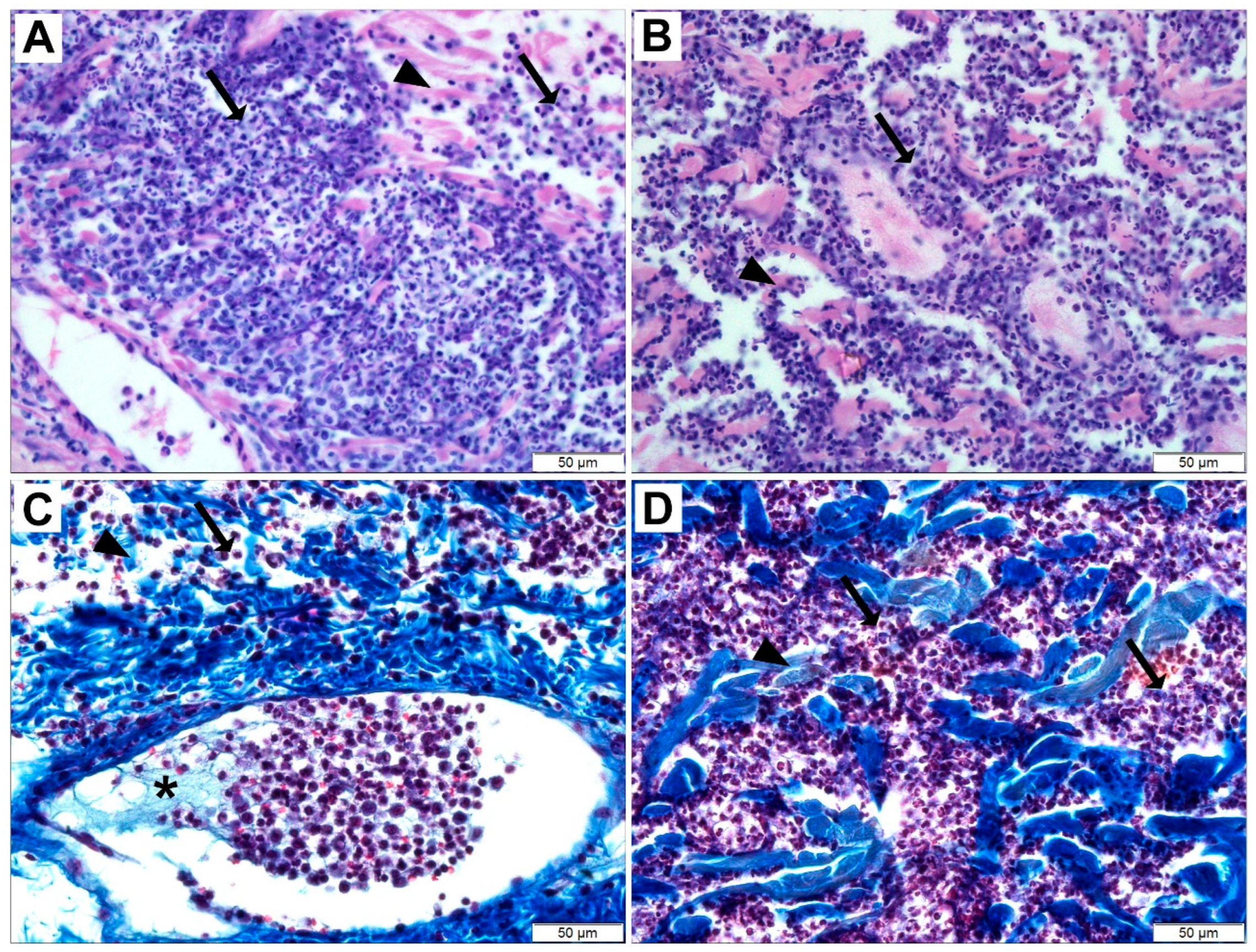 Toxins 17 00070 g001