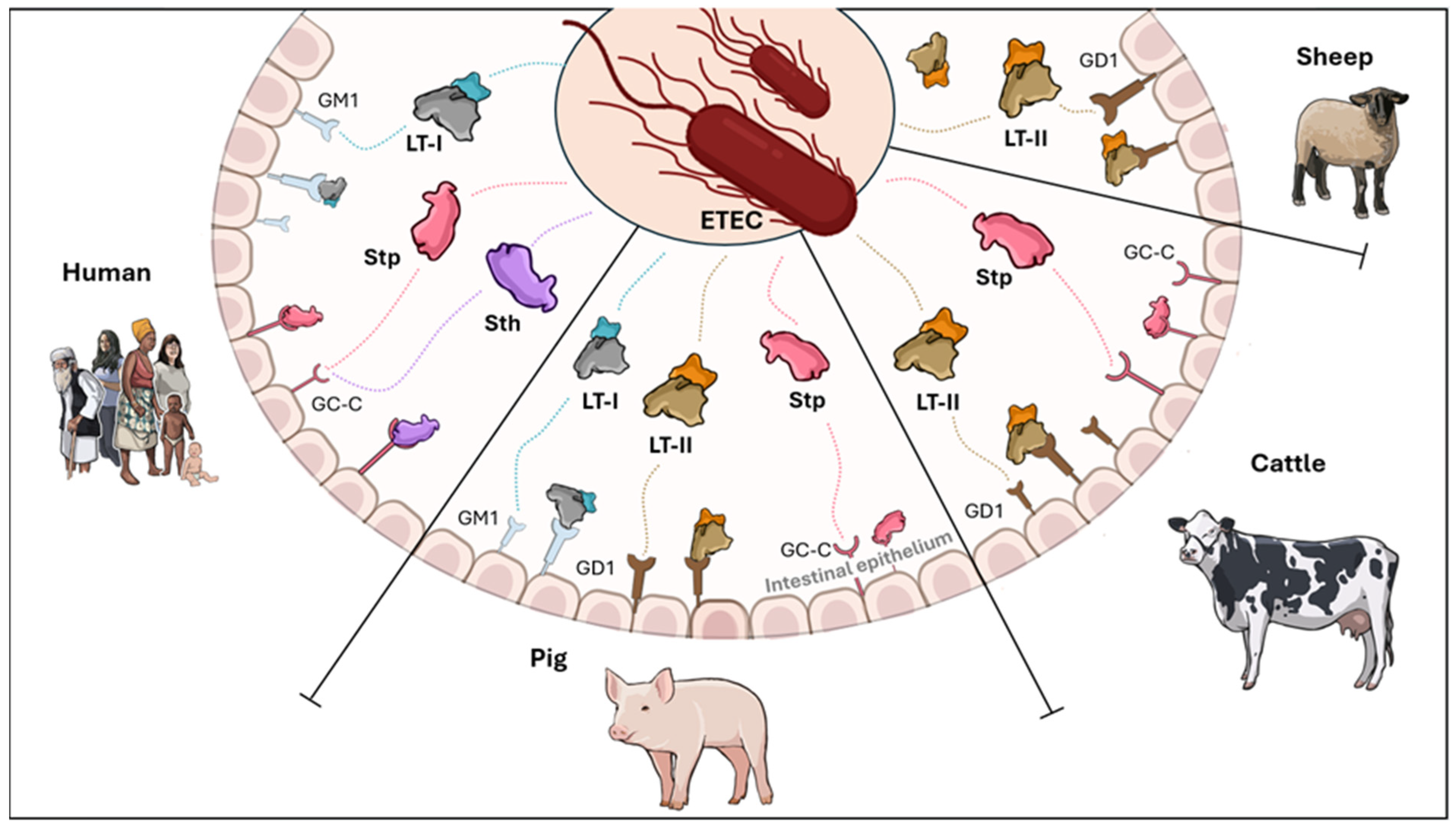 Toxins 17 00071 g002