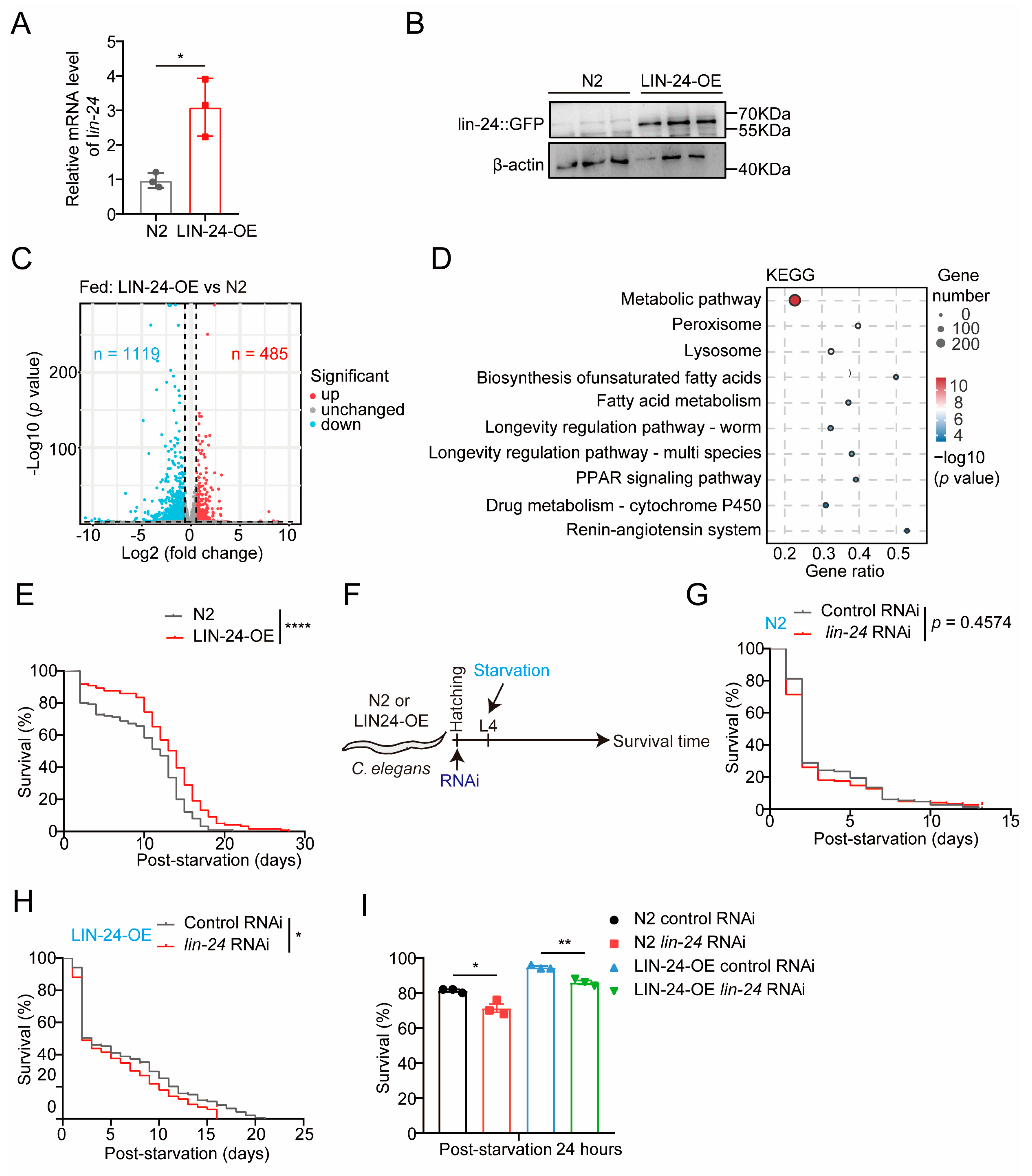 Toxins 17 00072 g002