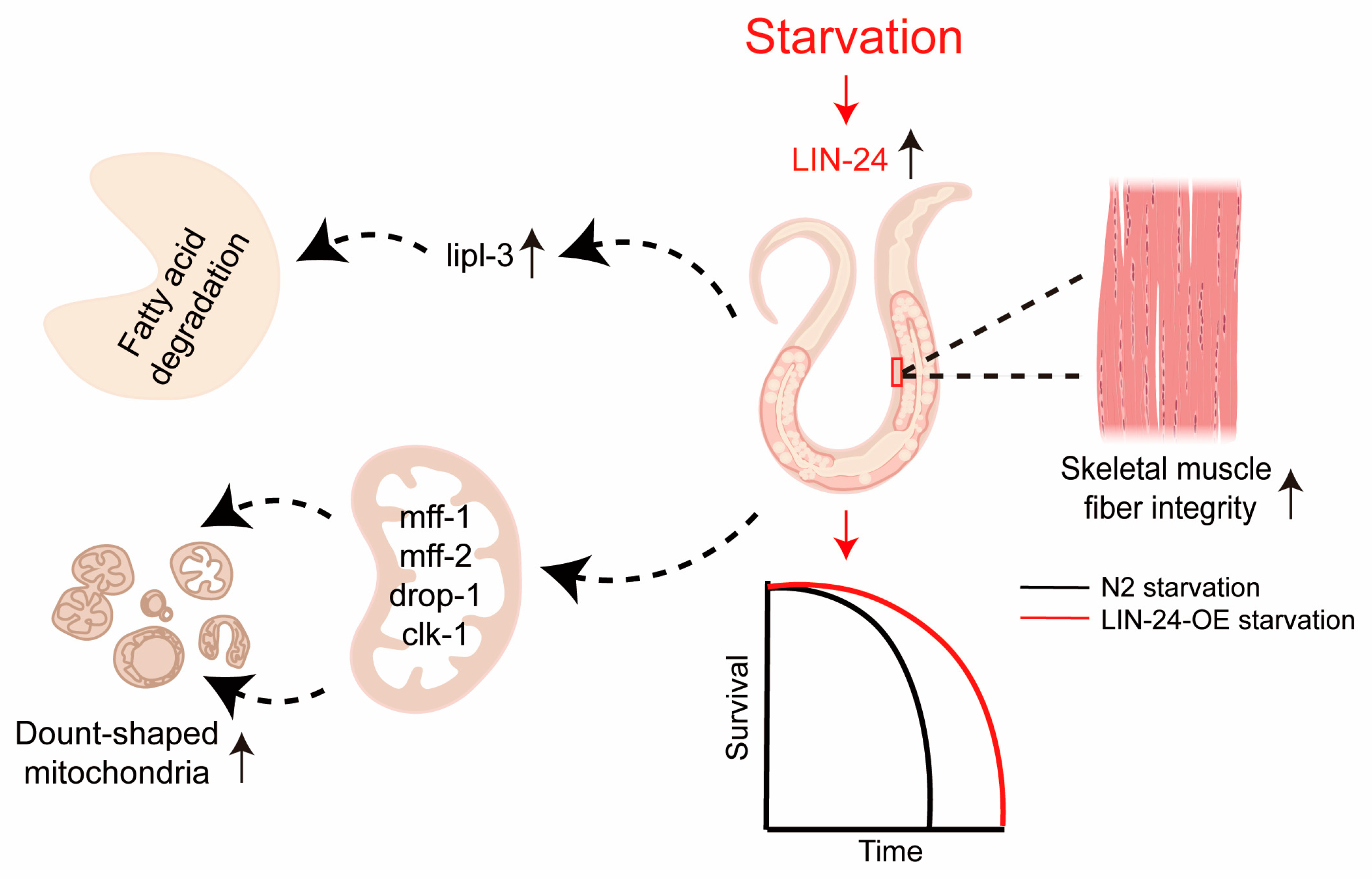 Toxins 17 00072 g006