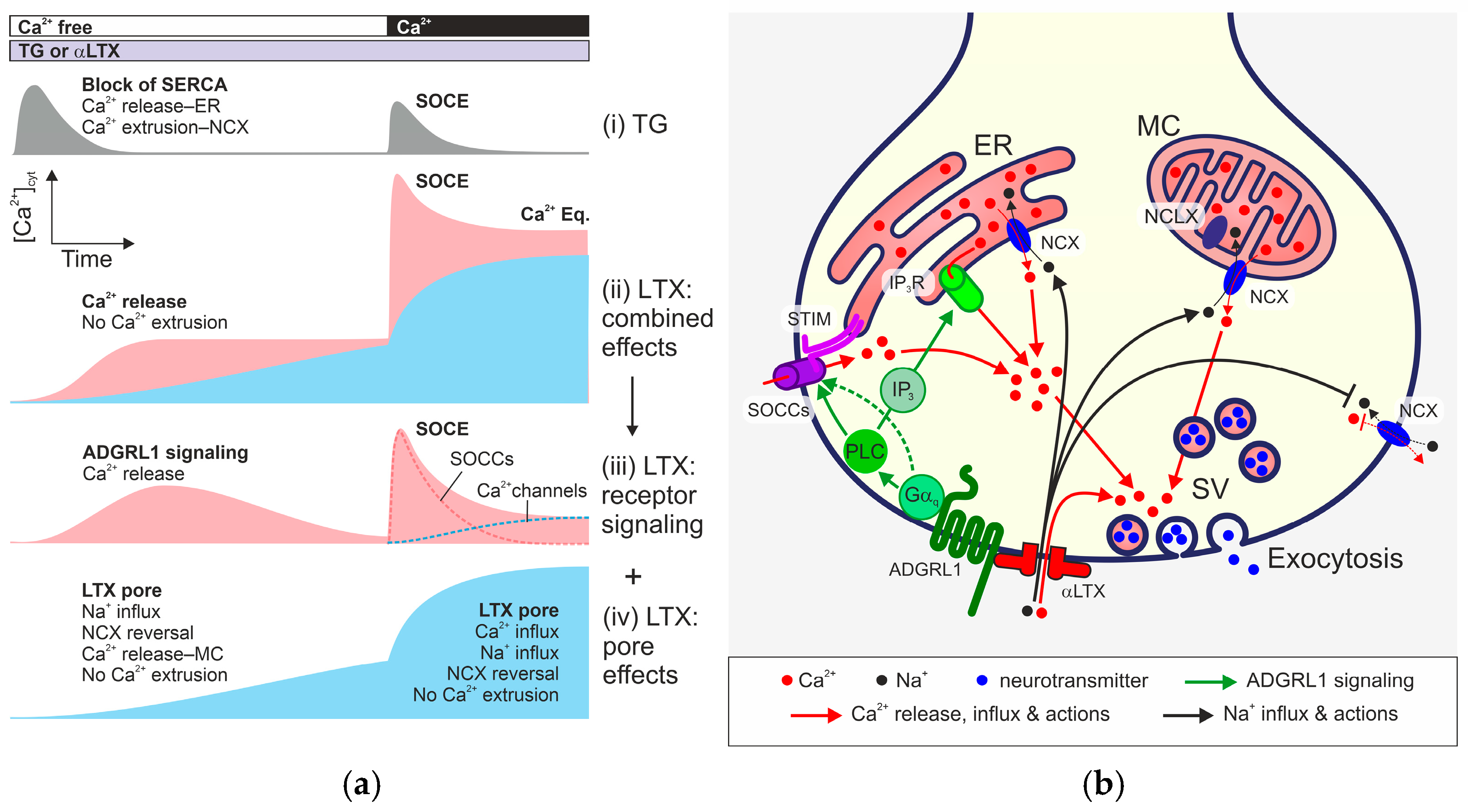 Toxins 17 00073 g009