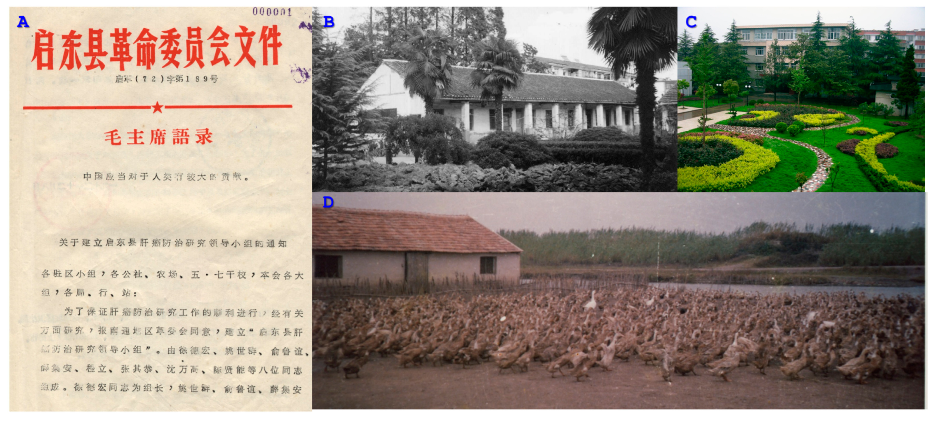 Toxins 17 00079 g002