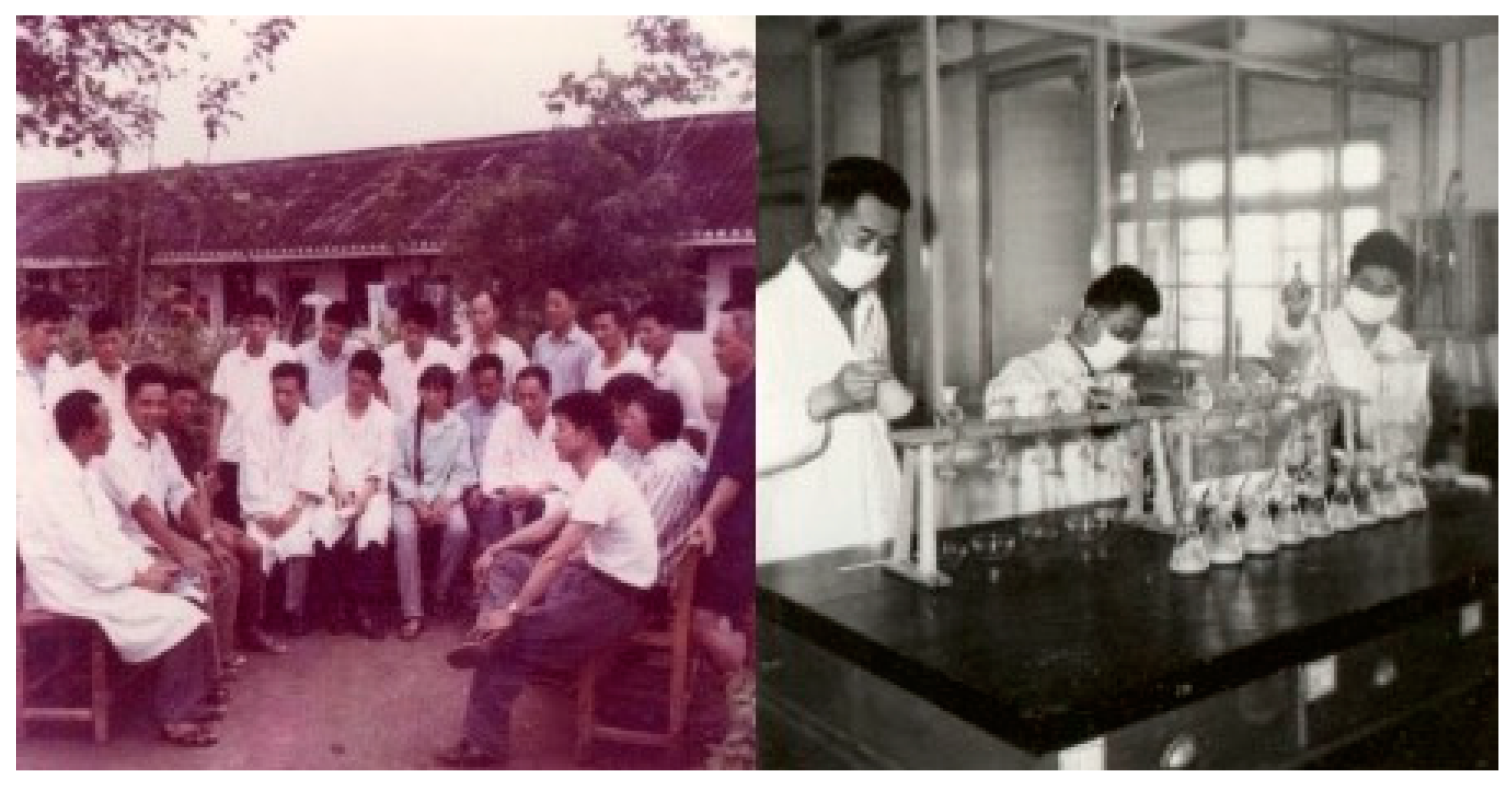 Toxins 17 00079 g004