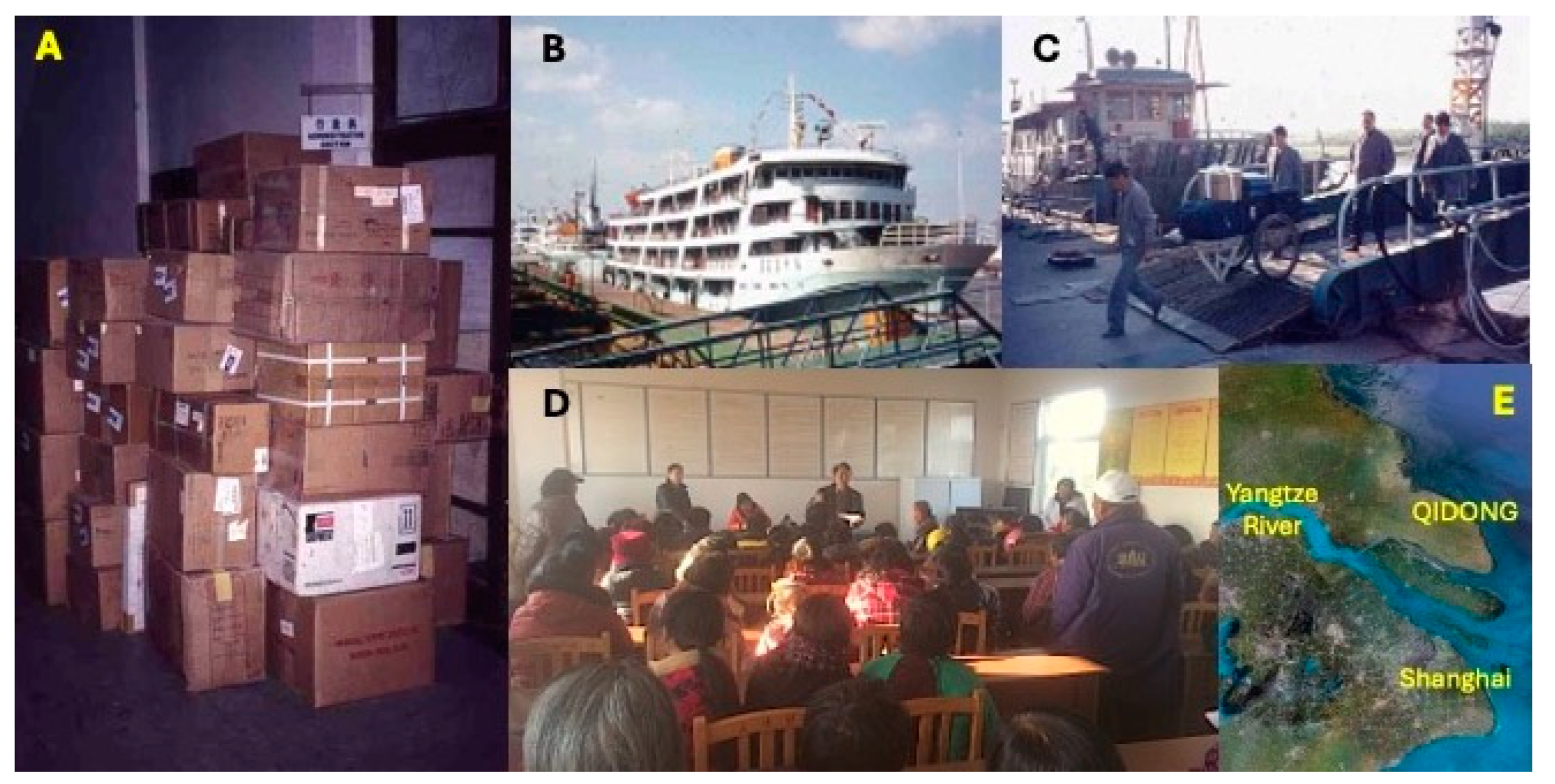 Toxins 17 00079 g006