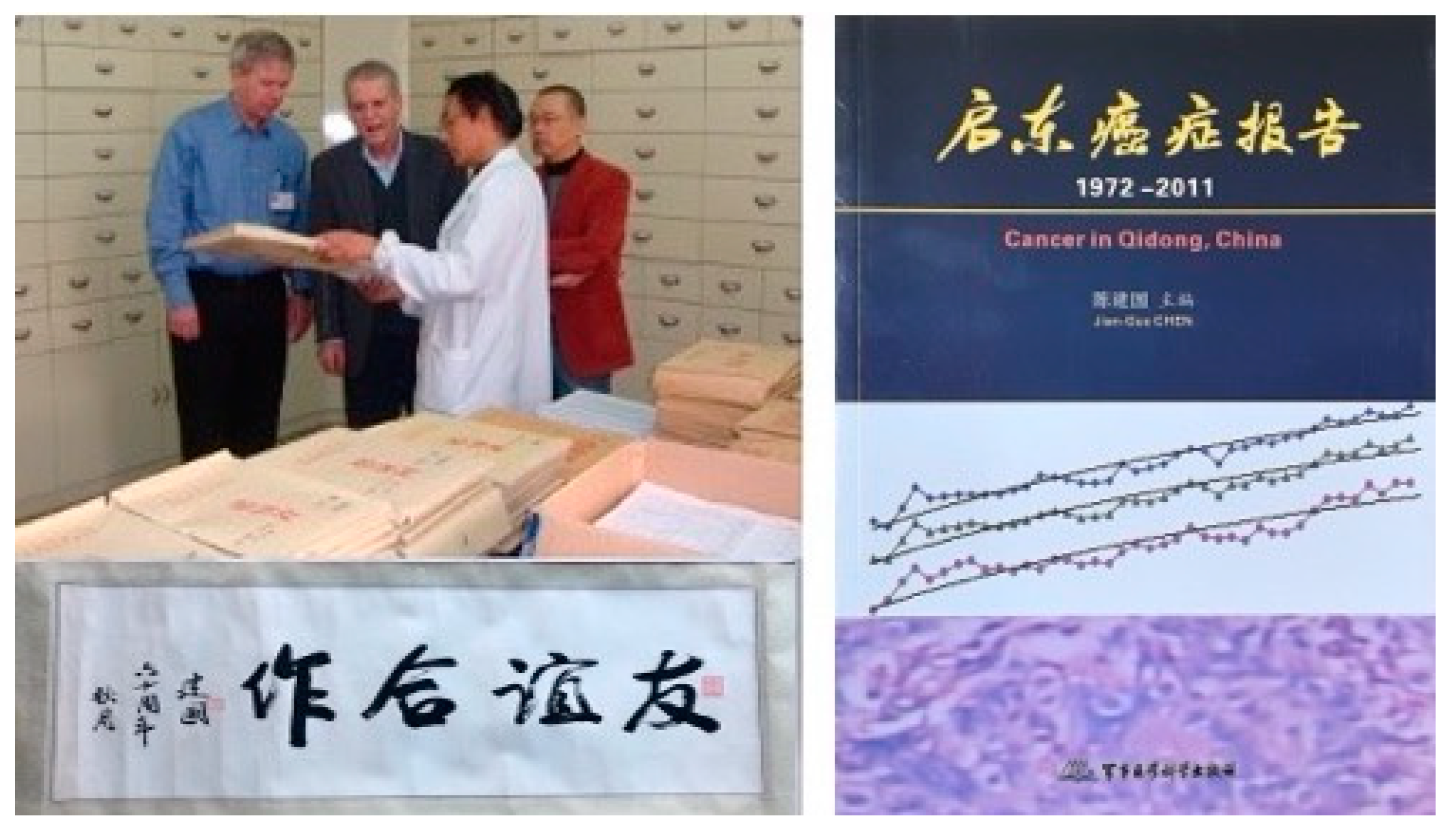 Toxins 17 00079 g010