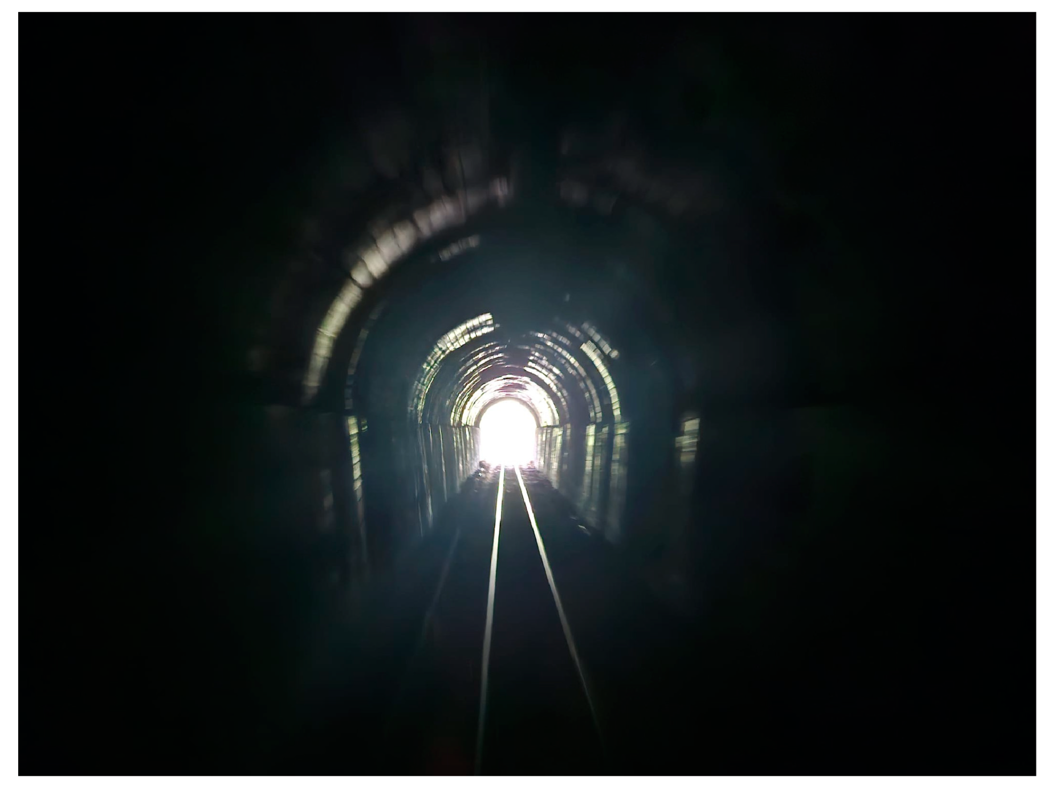 Toxins 17 00079 g014