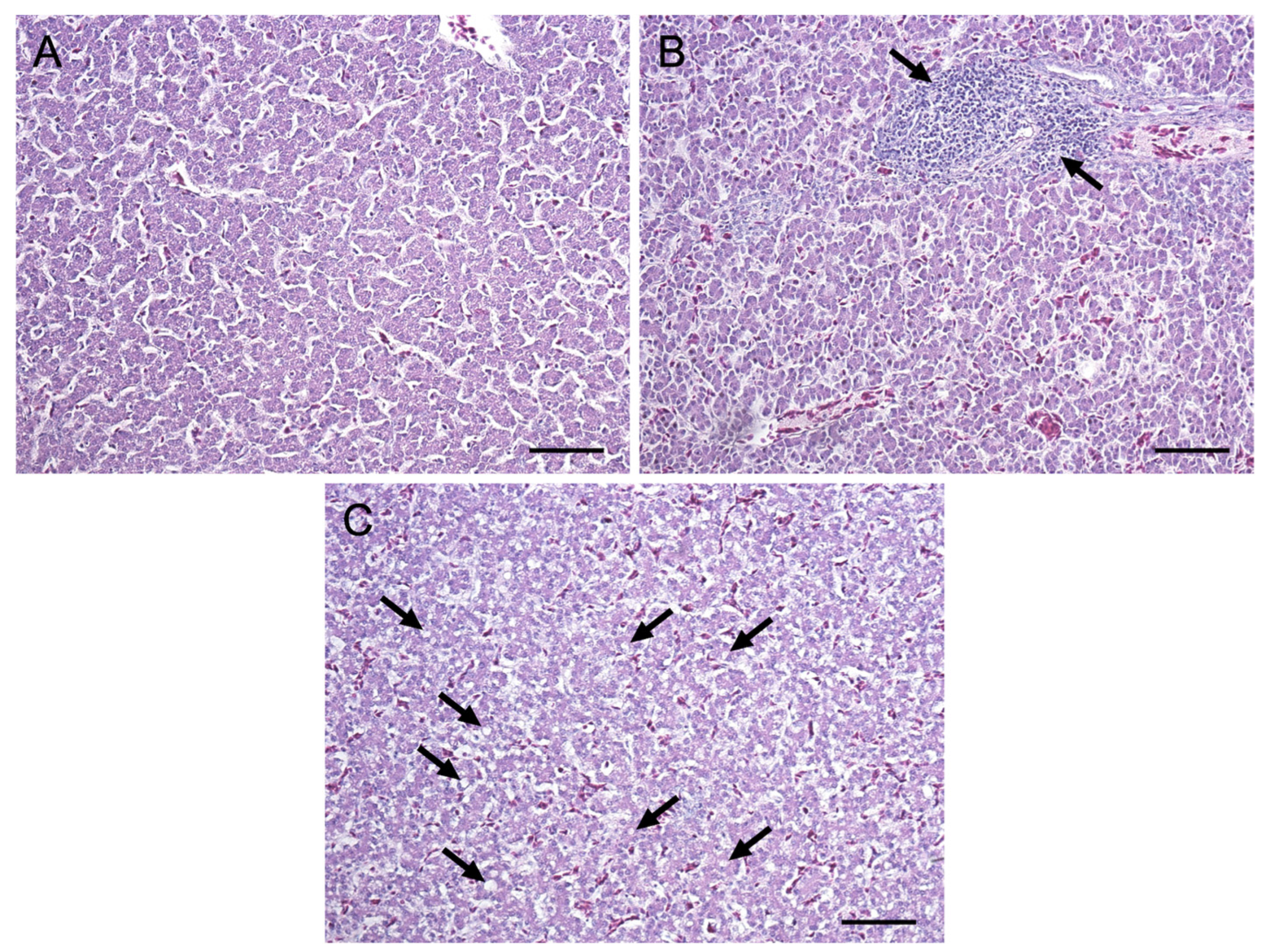 Toxins 17 00082 g001