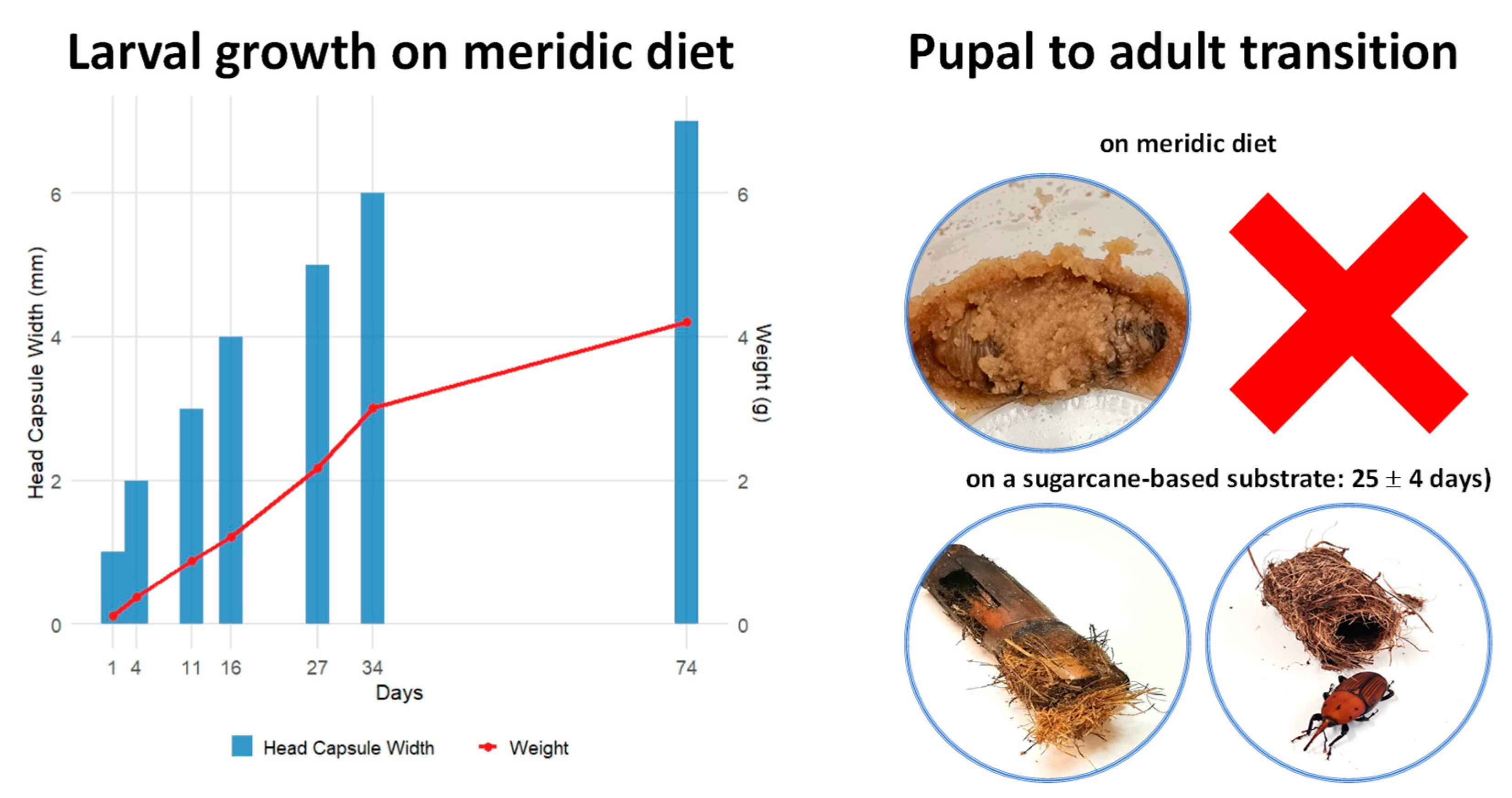 Toxins 17 00084 g001