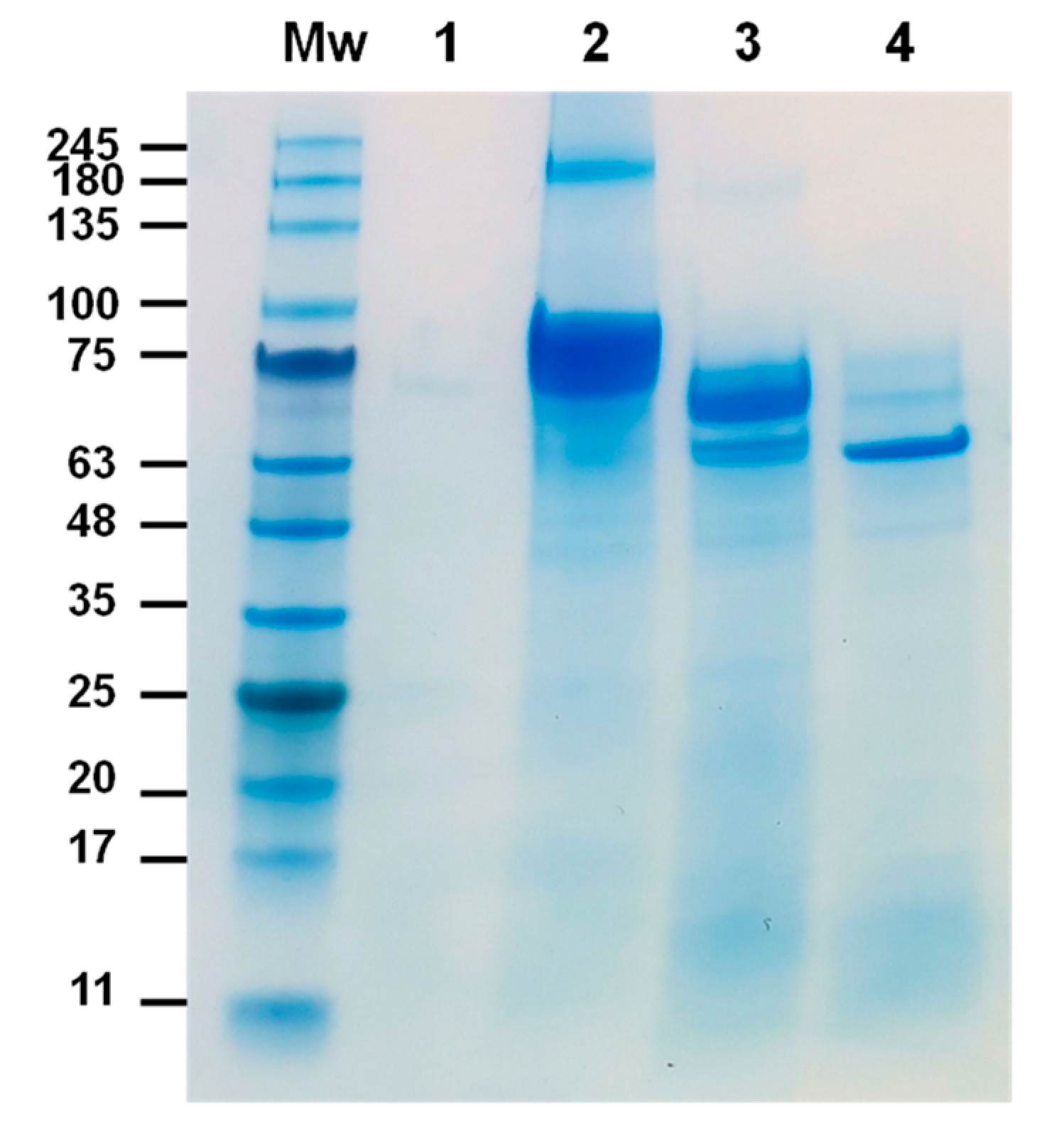 Toxins 17 00084 g004