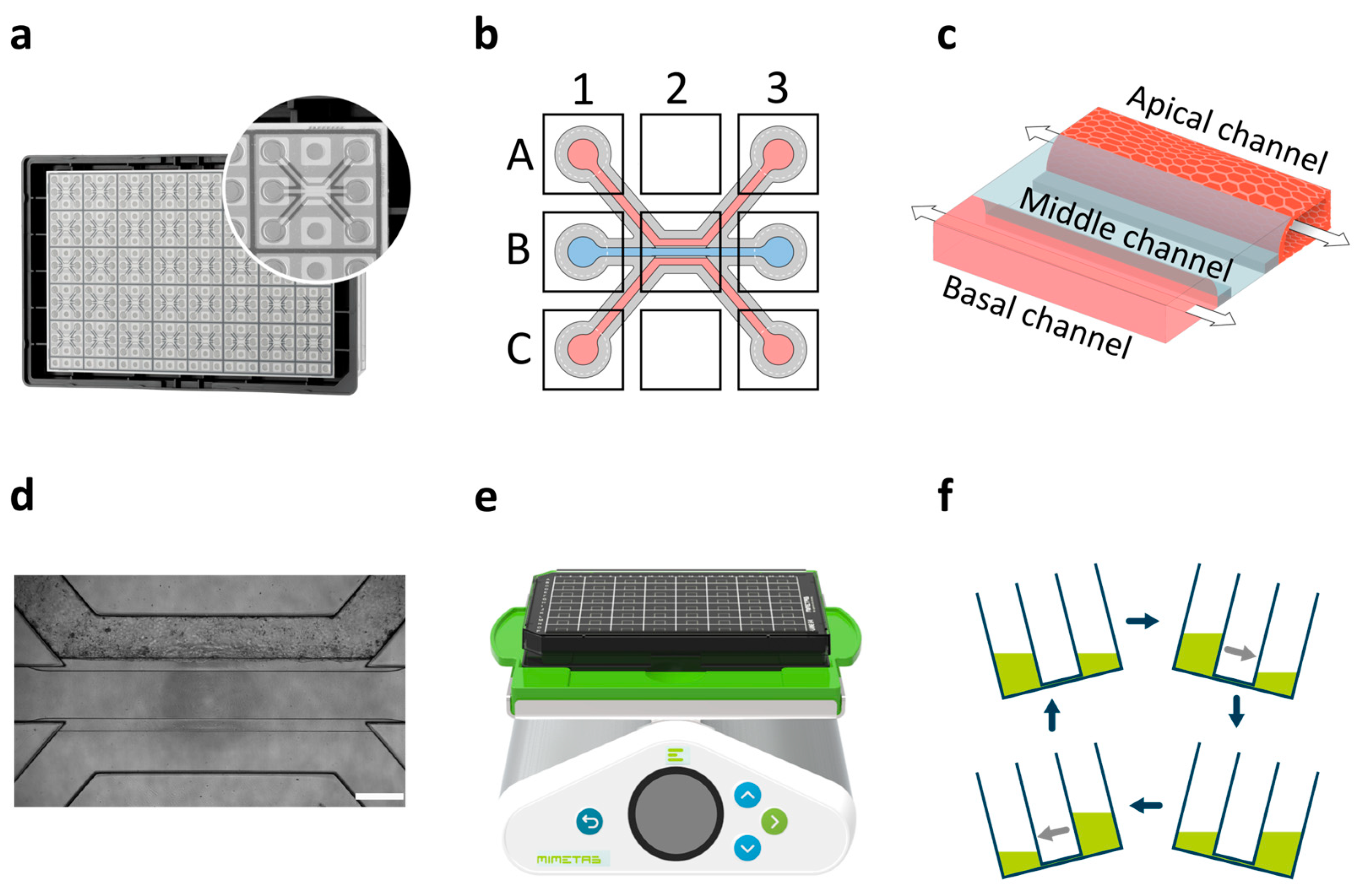 Toxins 17 00089 g001