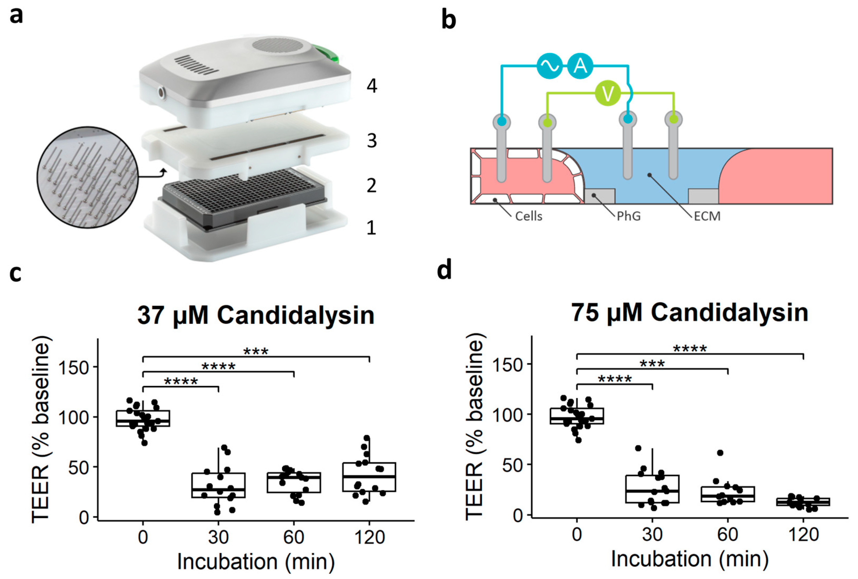 Toxins 17 00089 g002