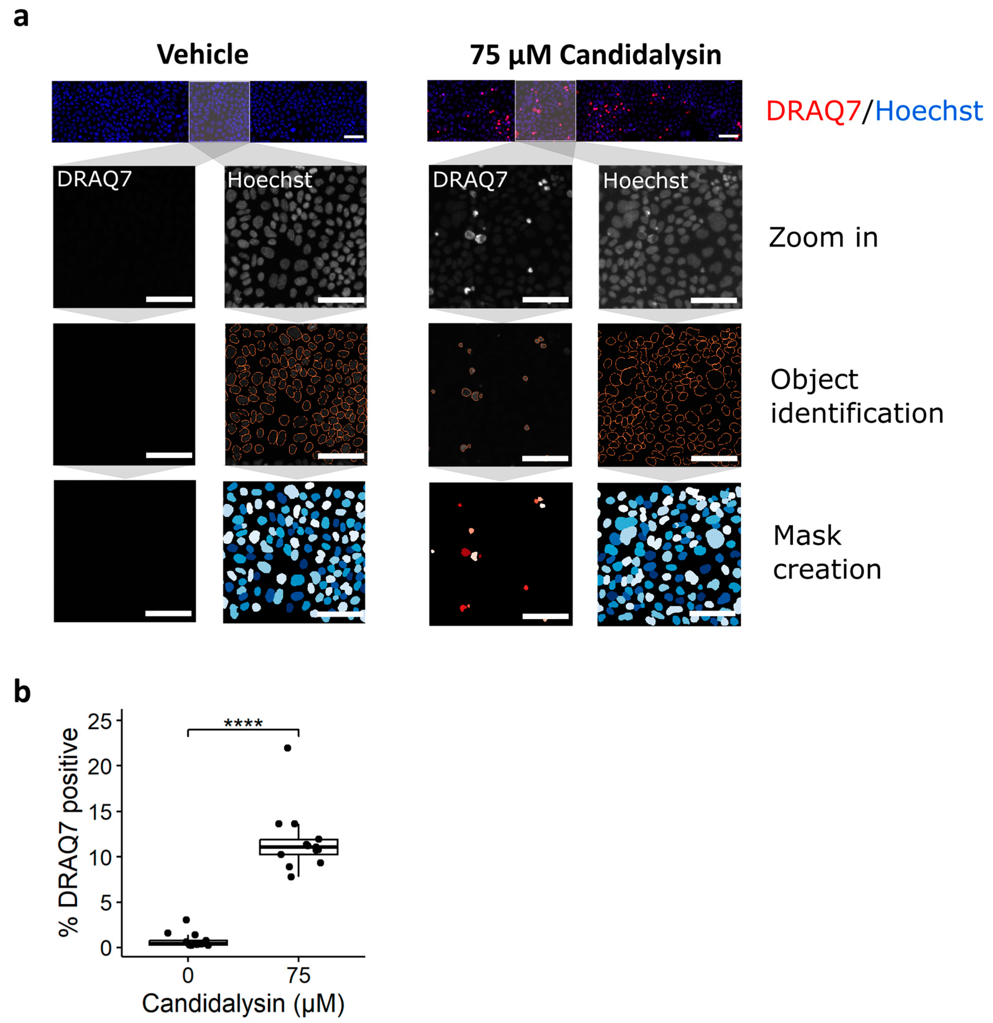 Toxins 17 00089 g004