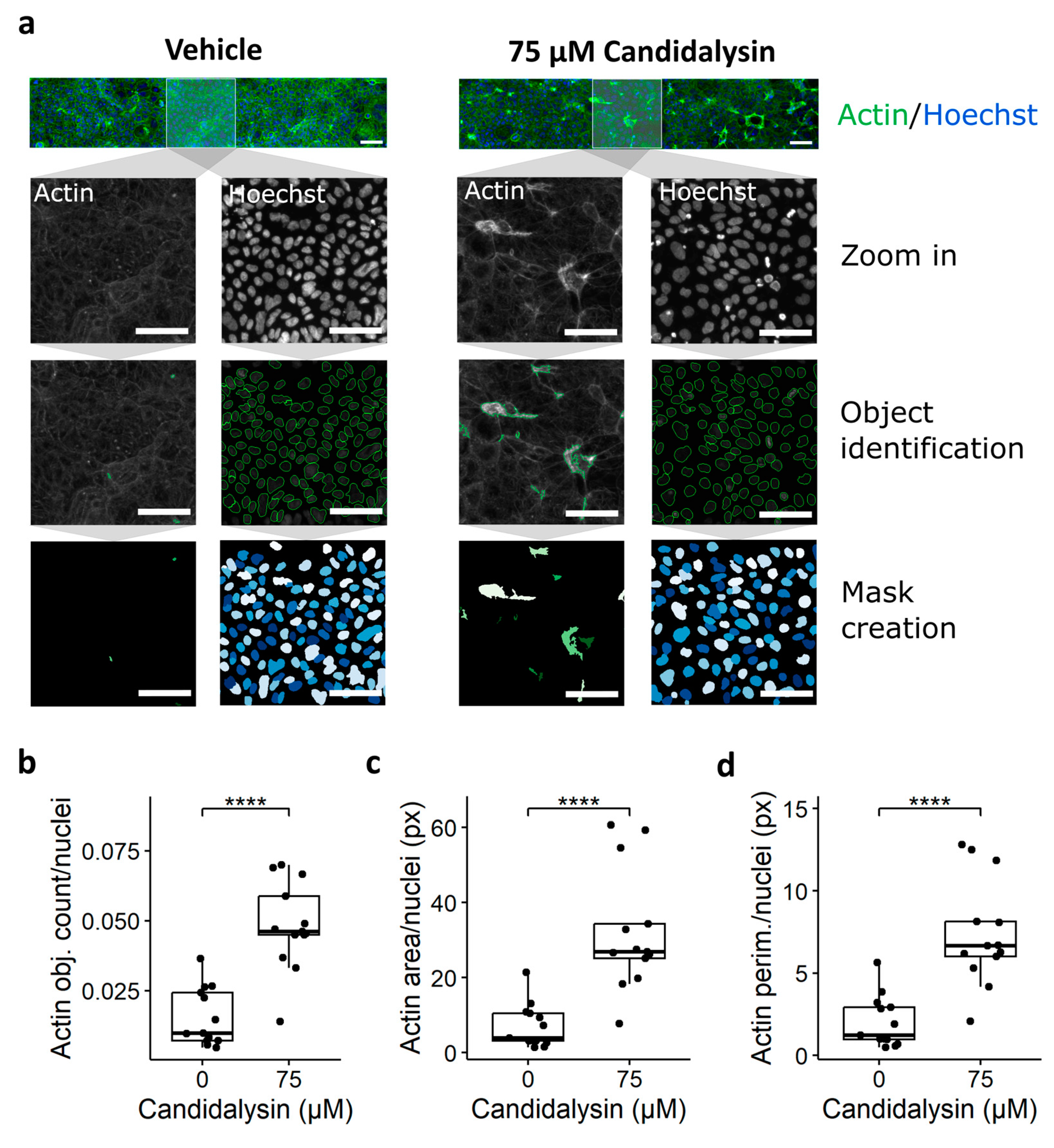 Toxins 17 00089 g005
