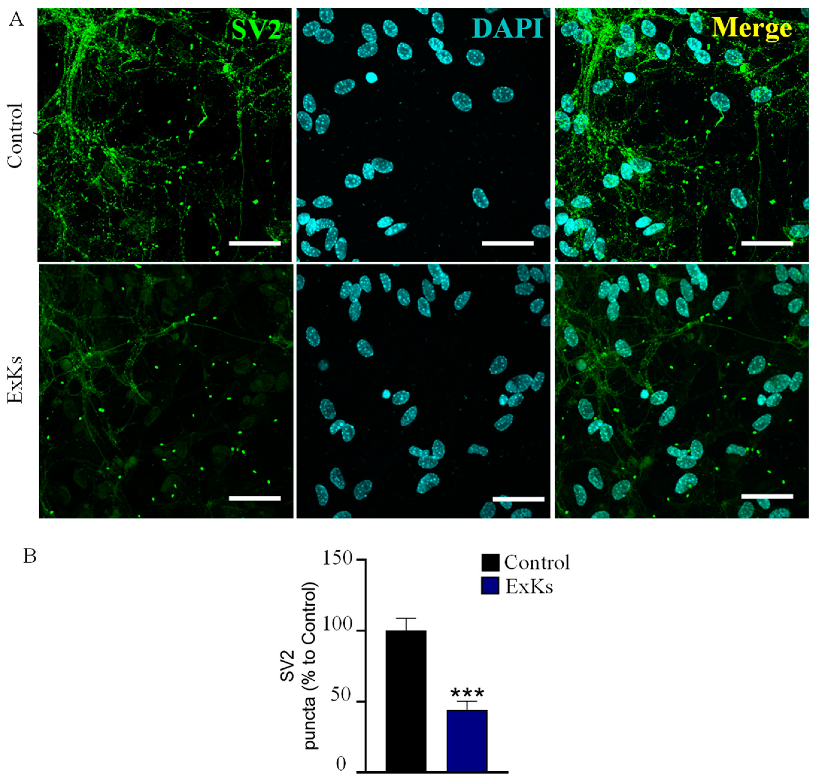 Toxins 17 00092 g006