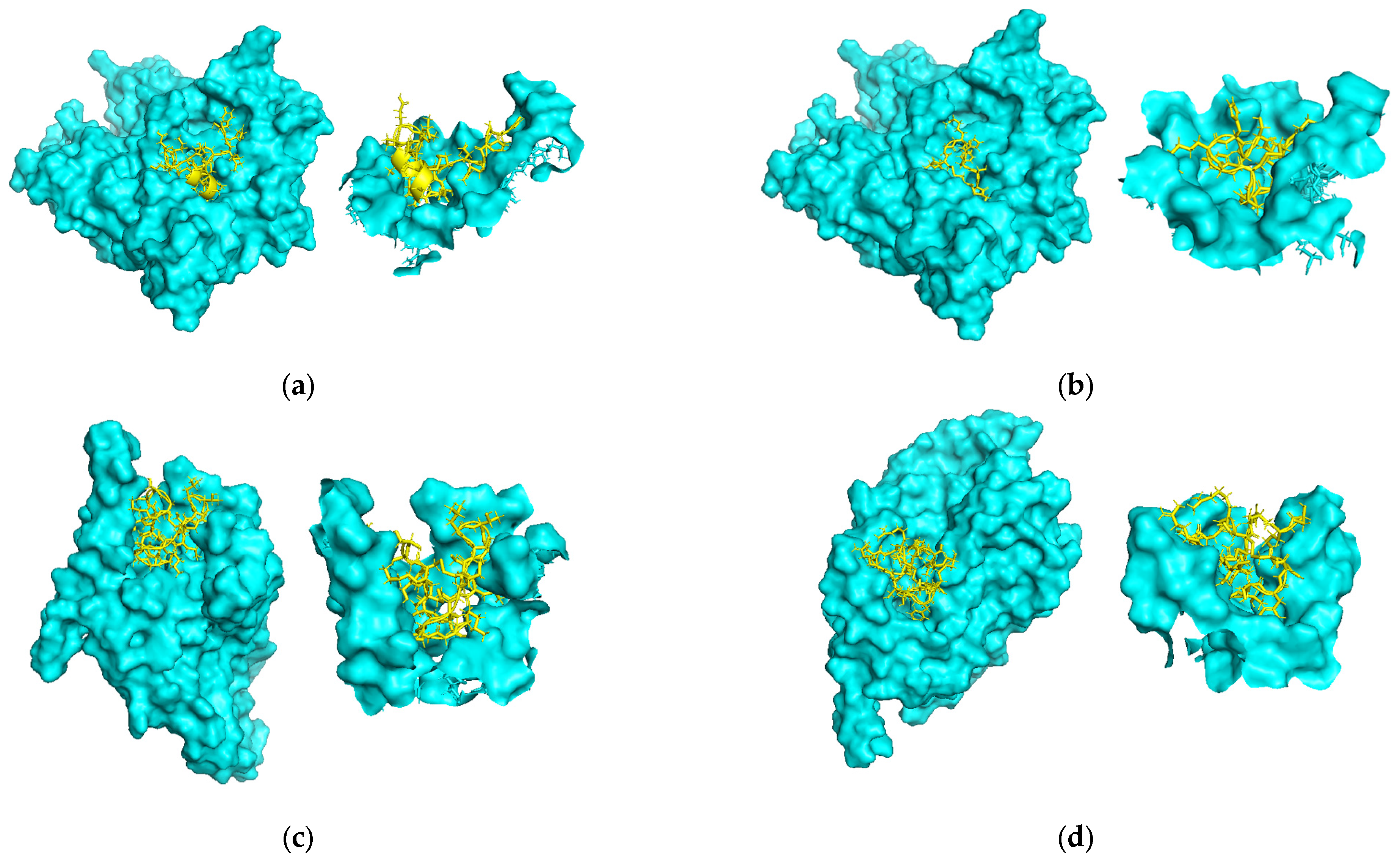 Toxins 17 00093 g009 Toxins 17 00093 g009
