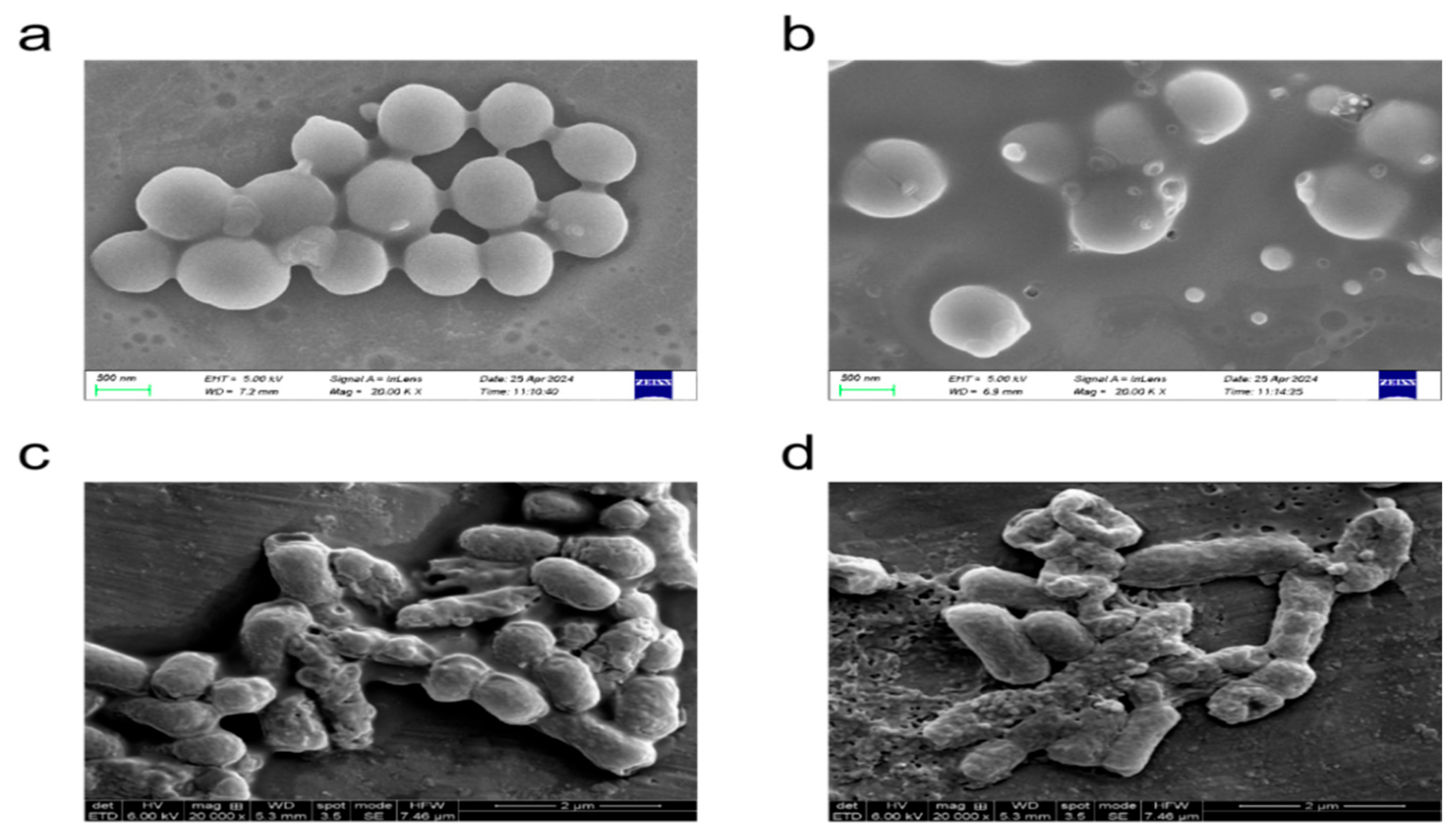 Toxins 17 00098 g008