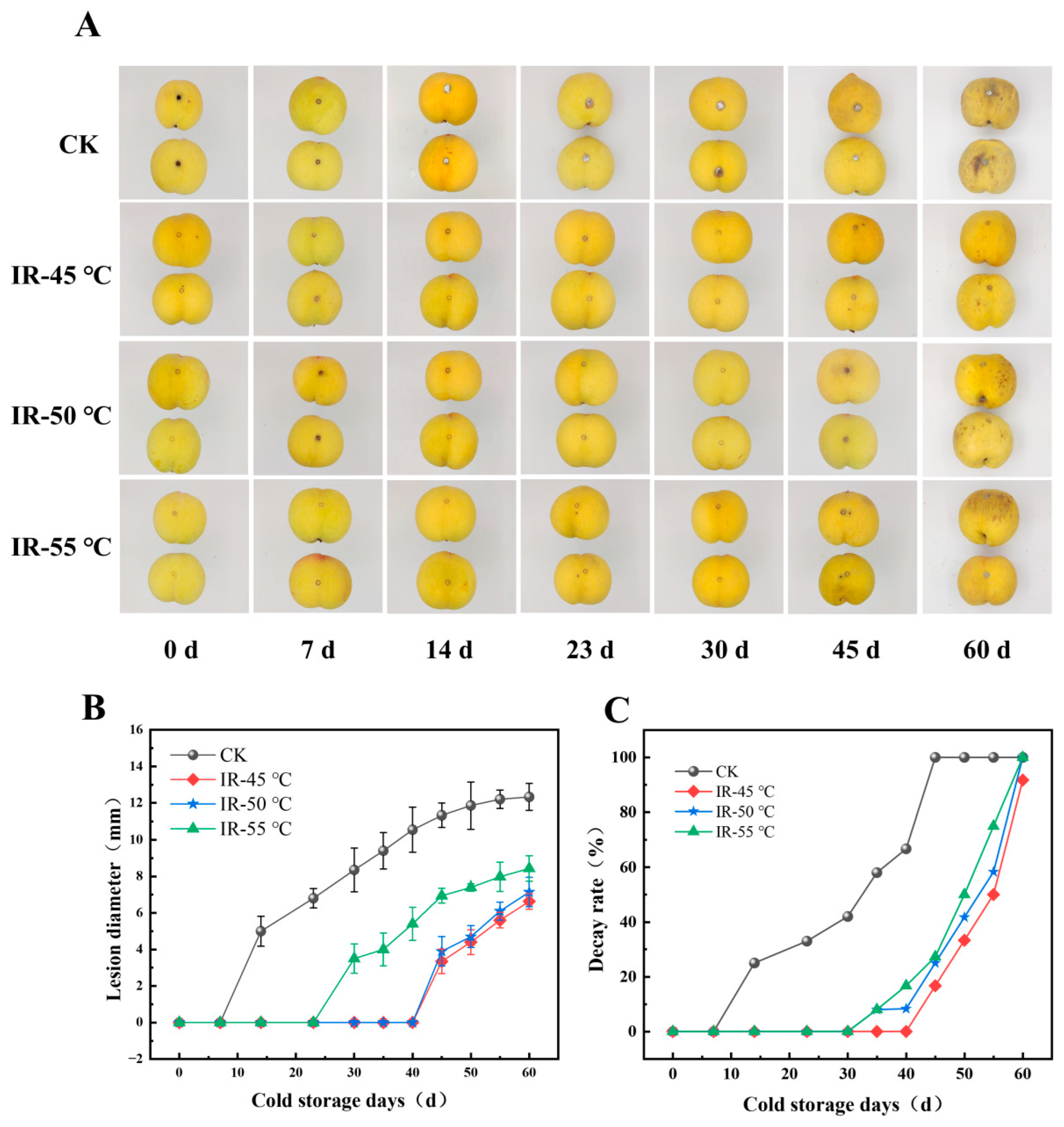 Toxins 17 00106 g003 Toxins 17 00106 g003