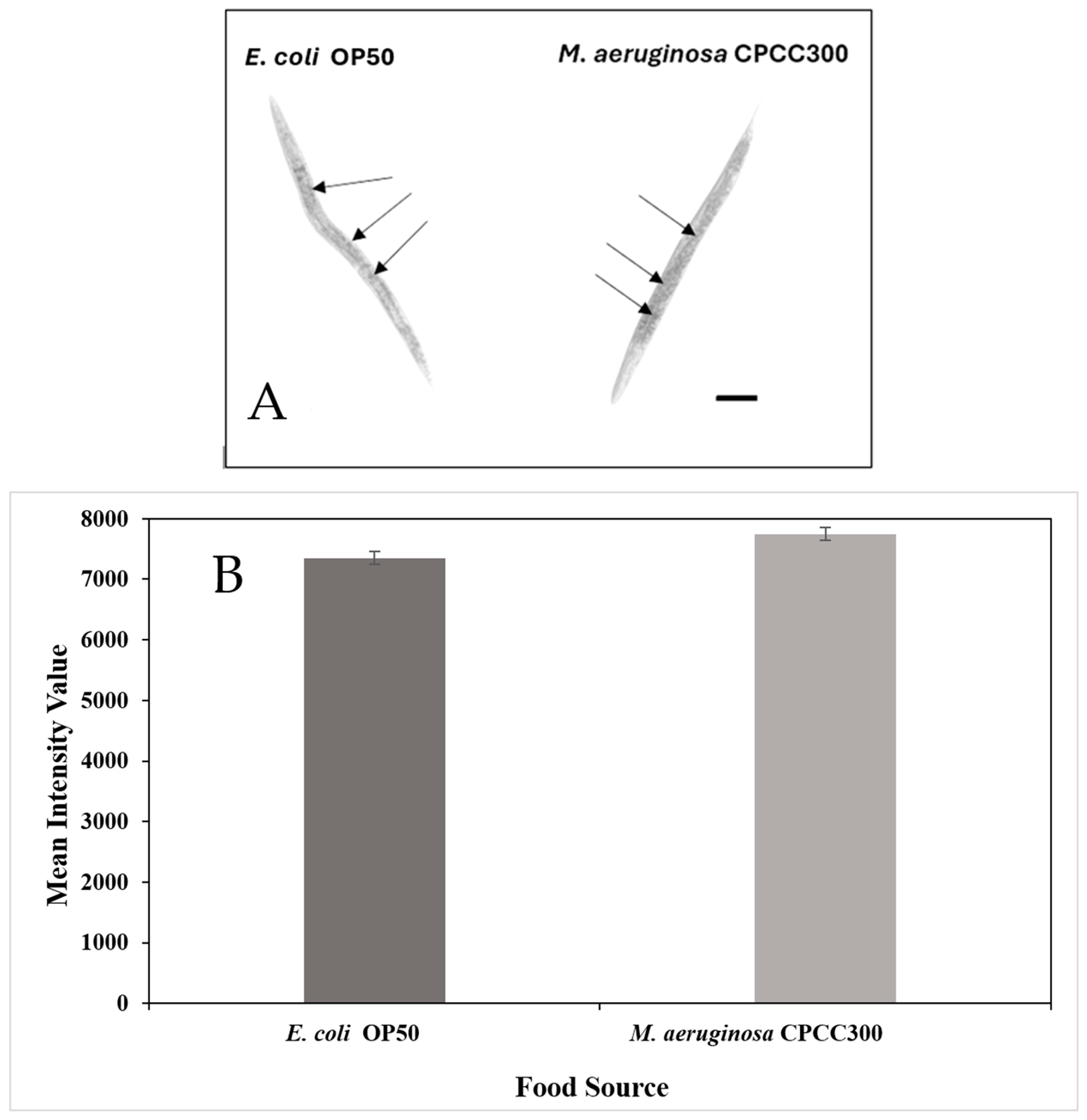 Toxins 17 00109 g002 Toxins 17 00109 g002
