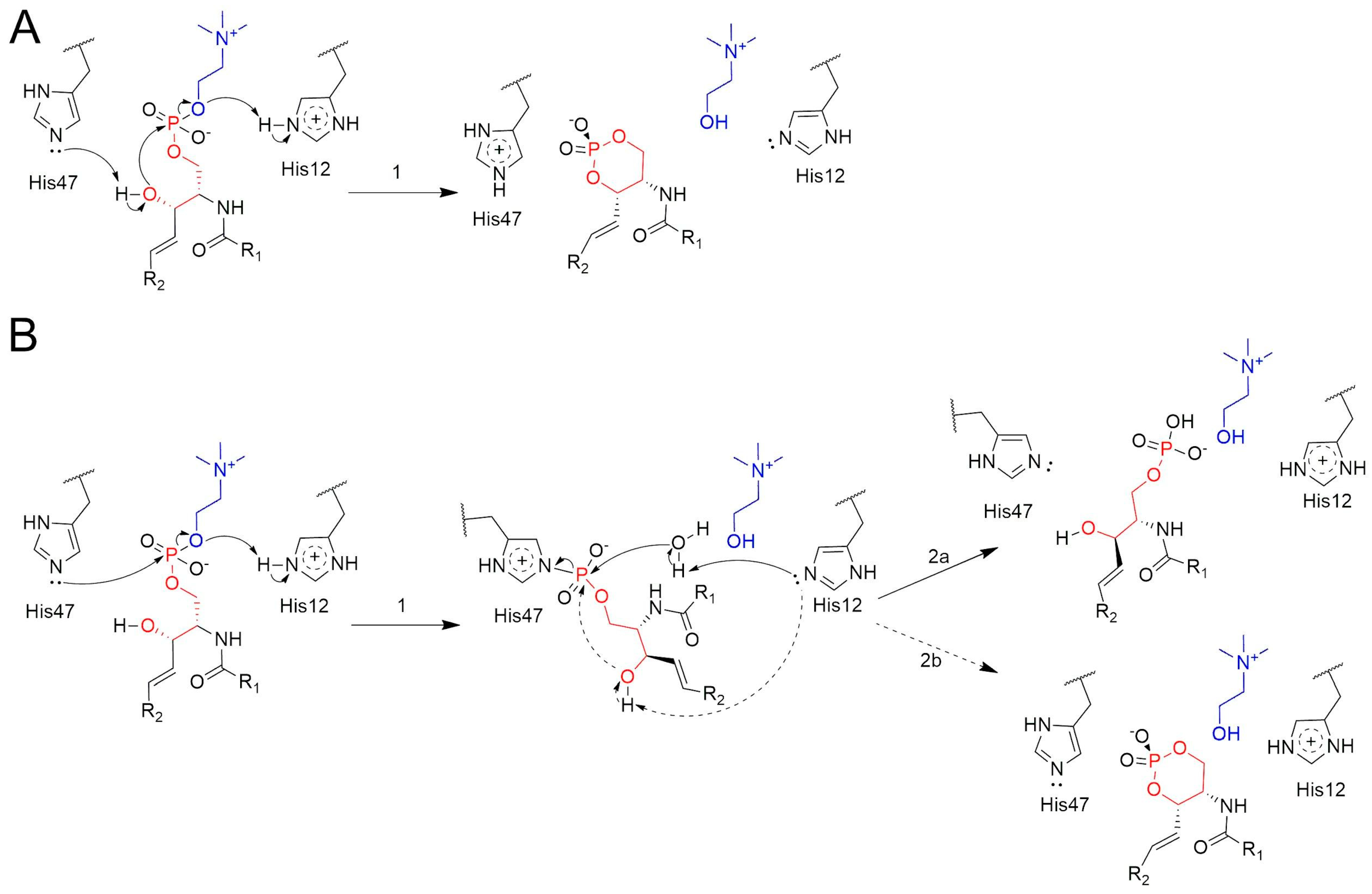 Toxins 17 00111 g004