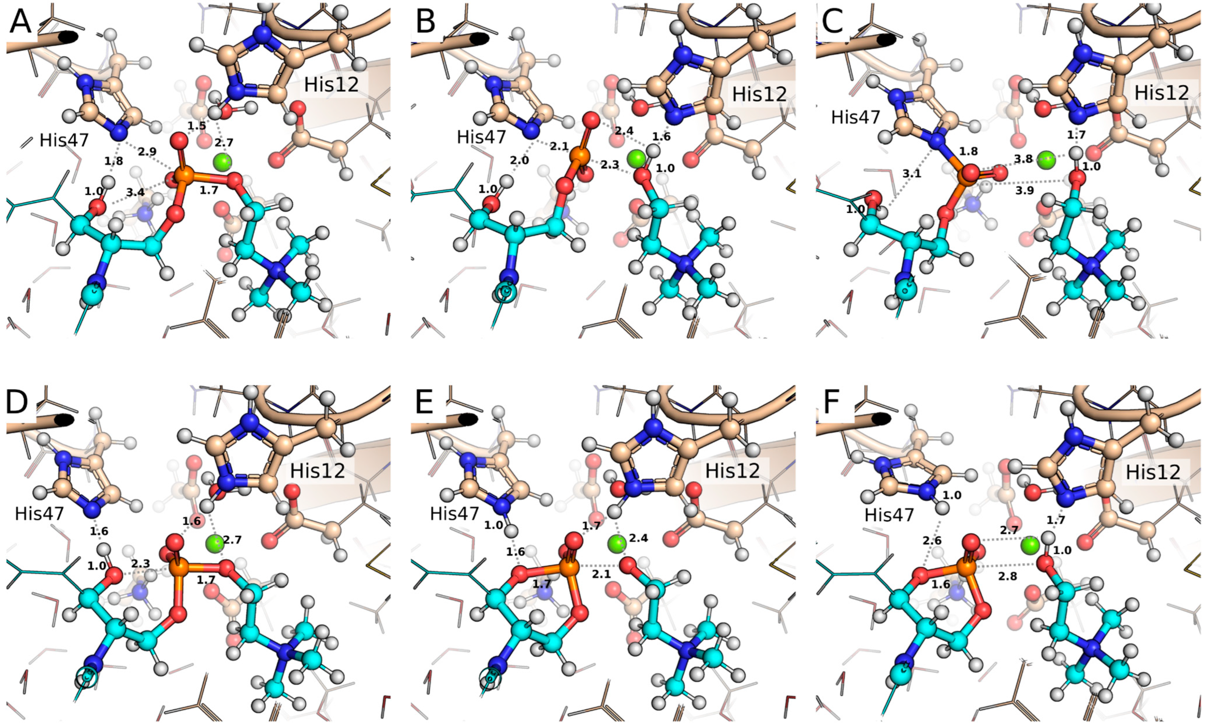 Toxins 17 00111 g006