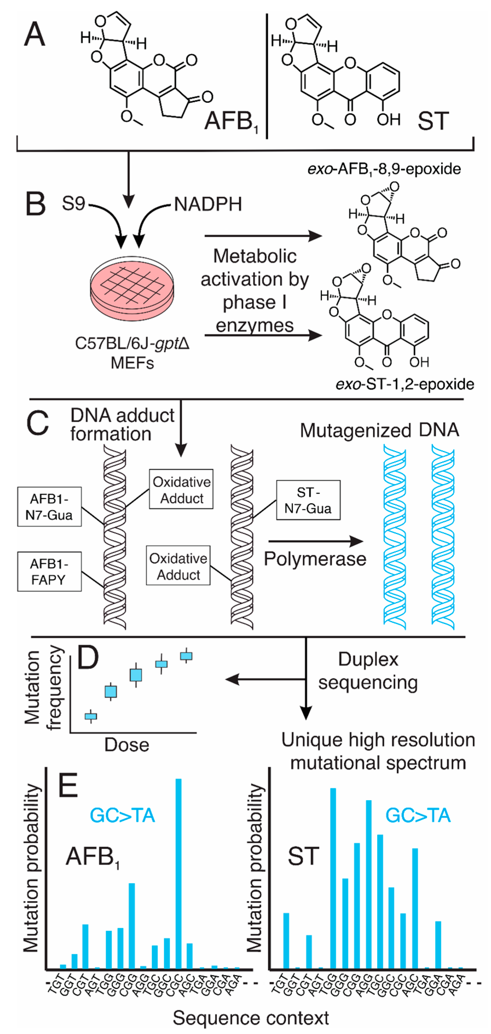 Toxins 17 00112 g002
