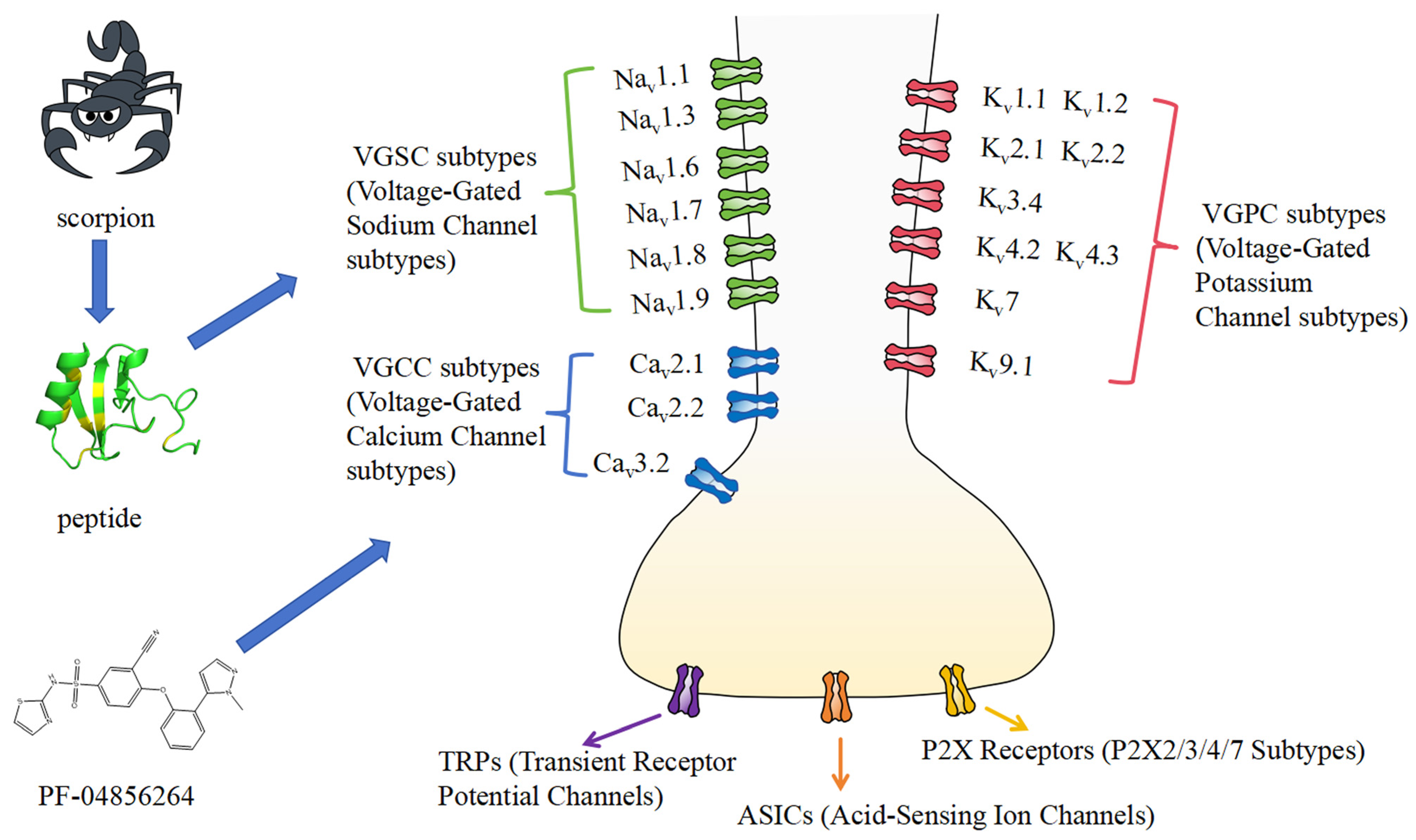 Toxins 17 00114 g001