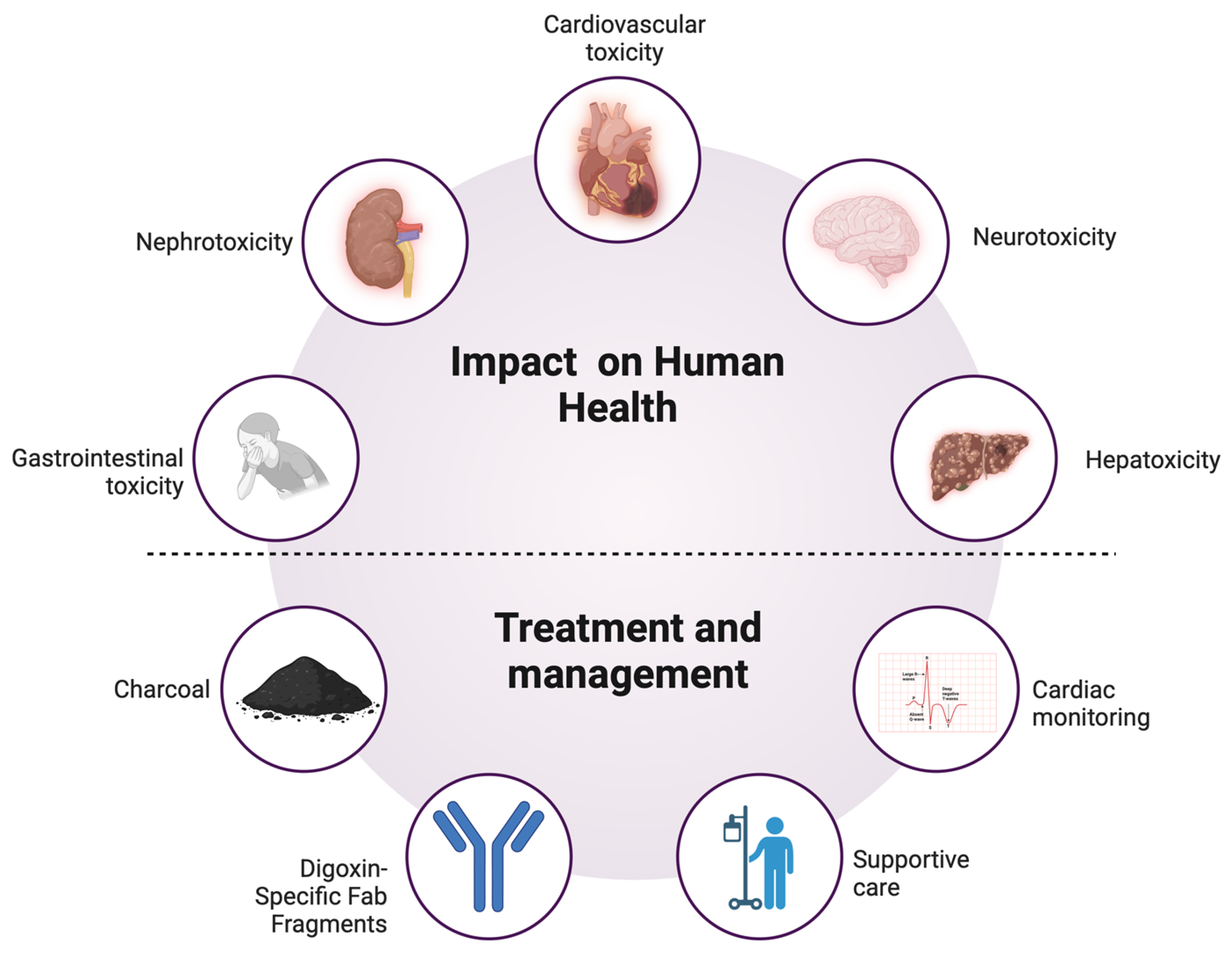 Toxins 17 00115 g001 Toxins 17 00115 g001