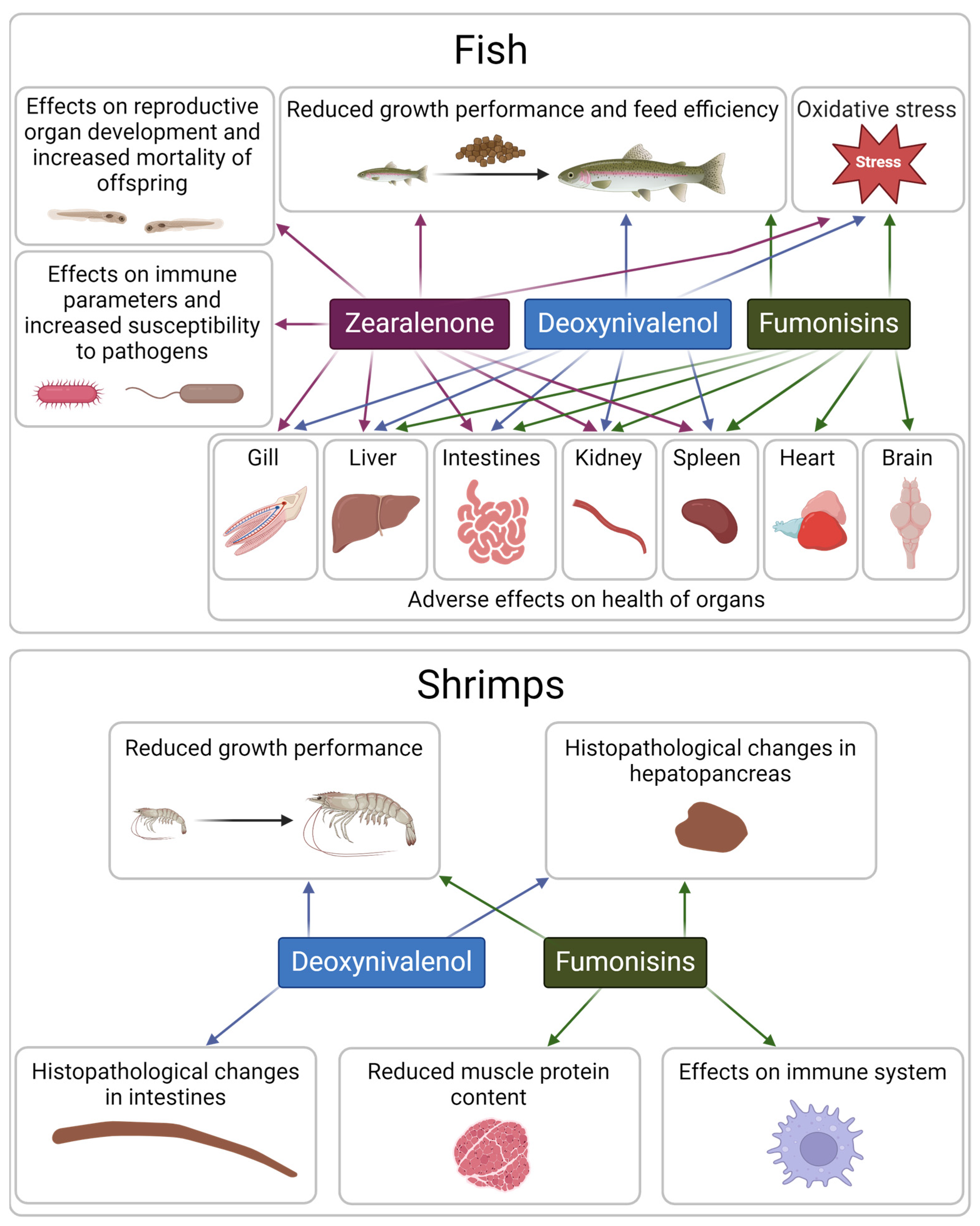 Toxins 17 00116 g002