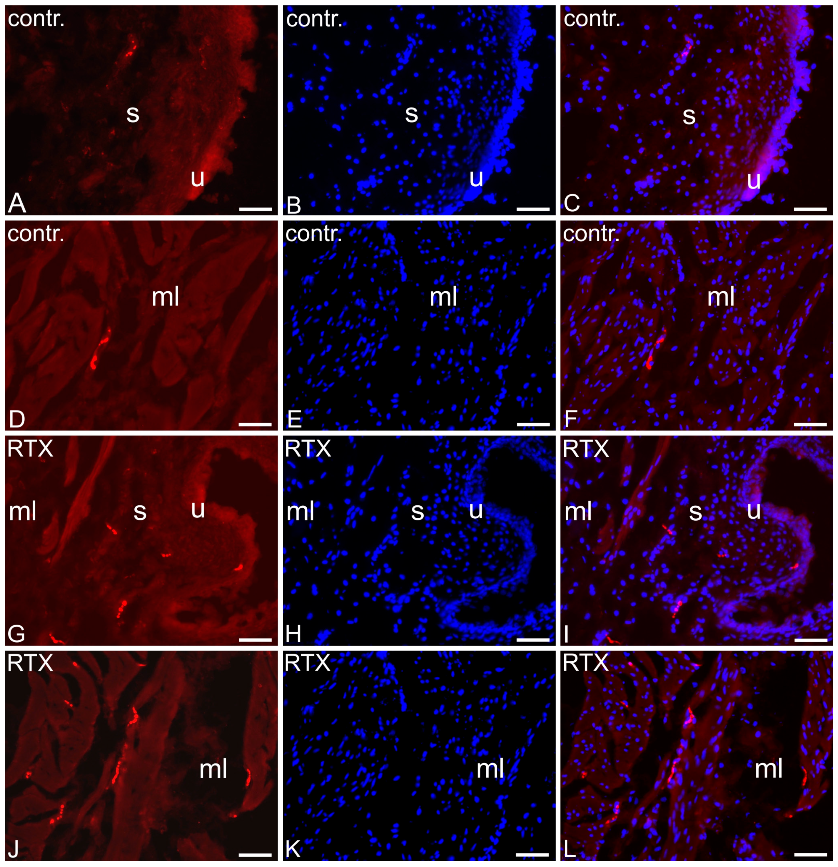 Toxins 17 00127 g006