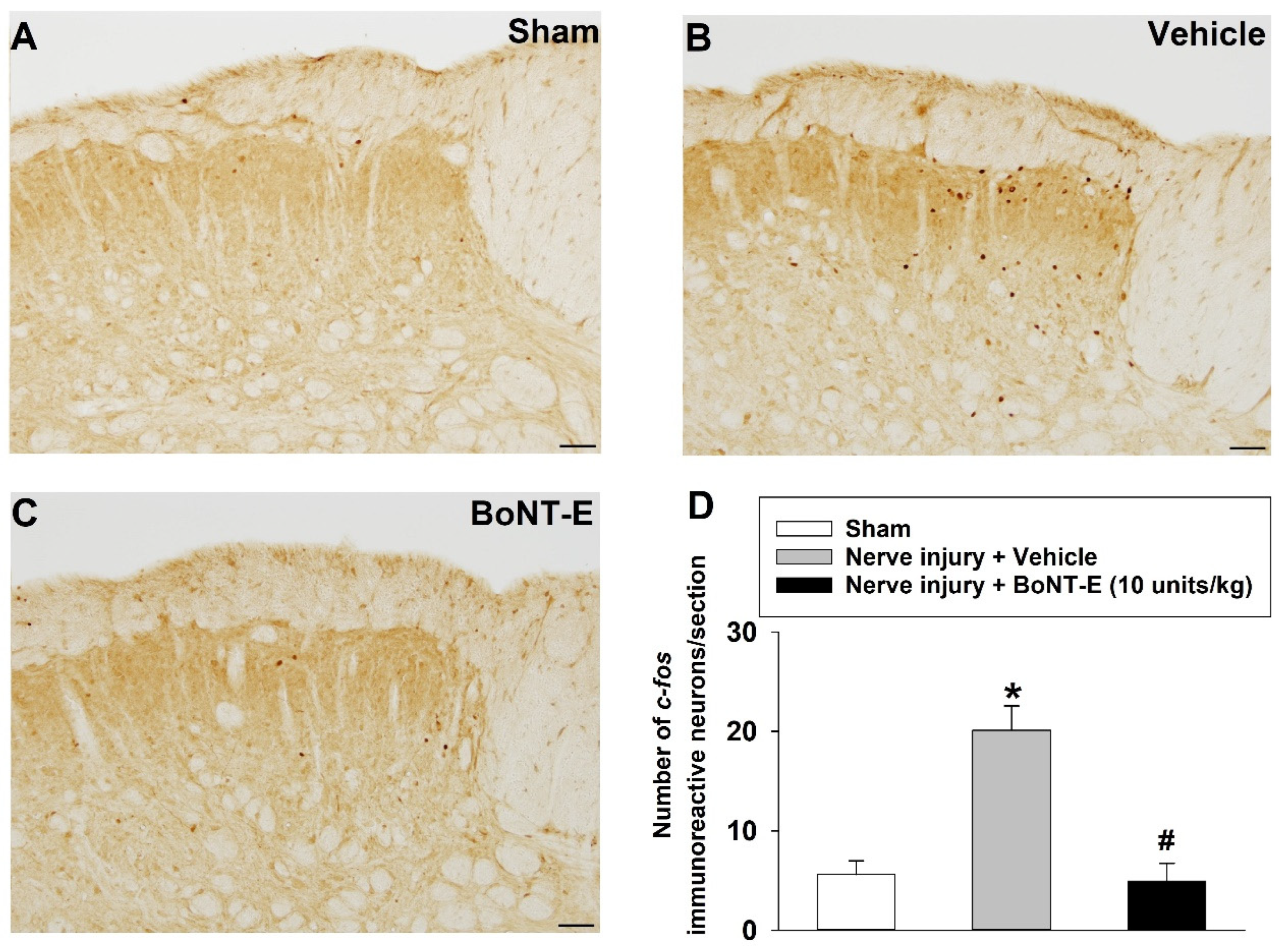 Toxins 17 00130 g006