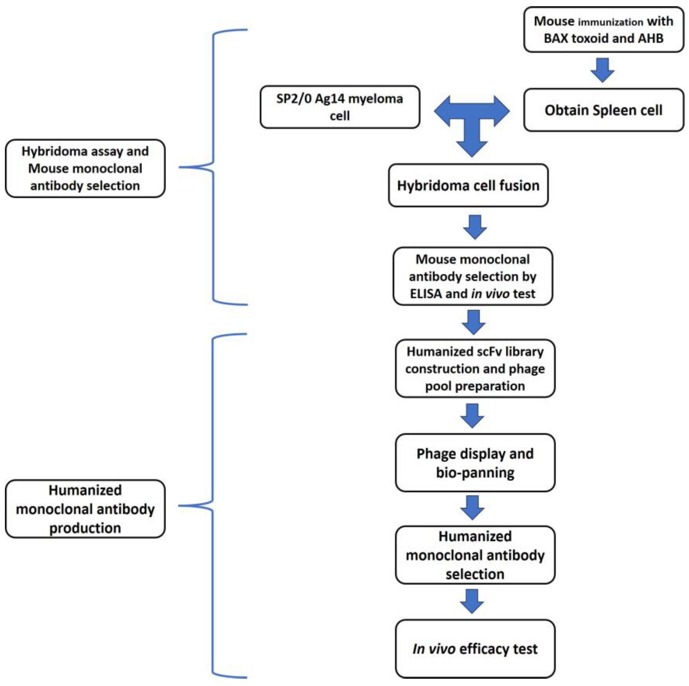Toxins 17 00138 g005
