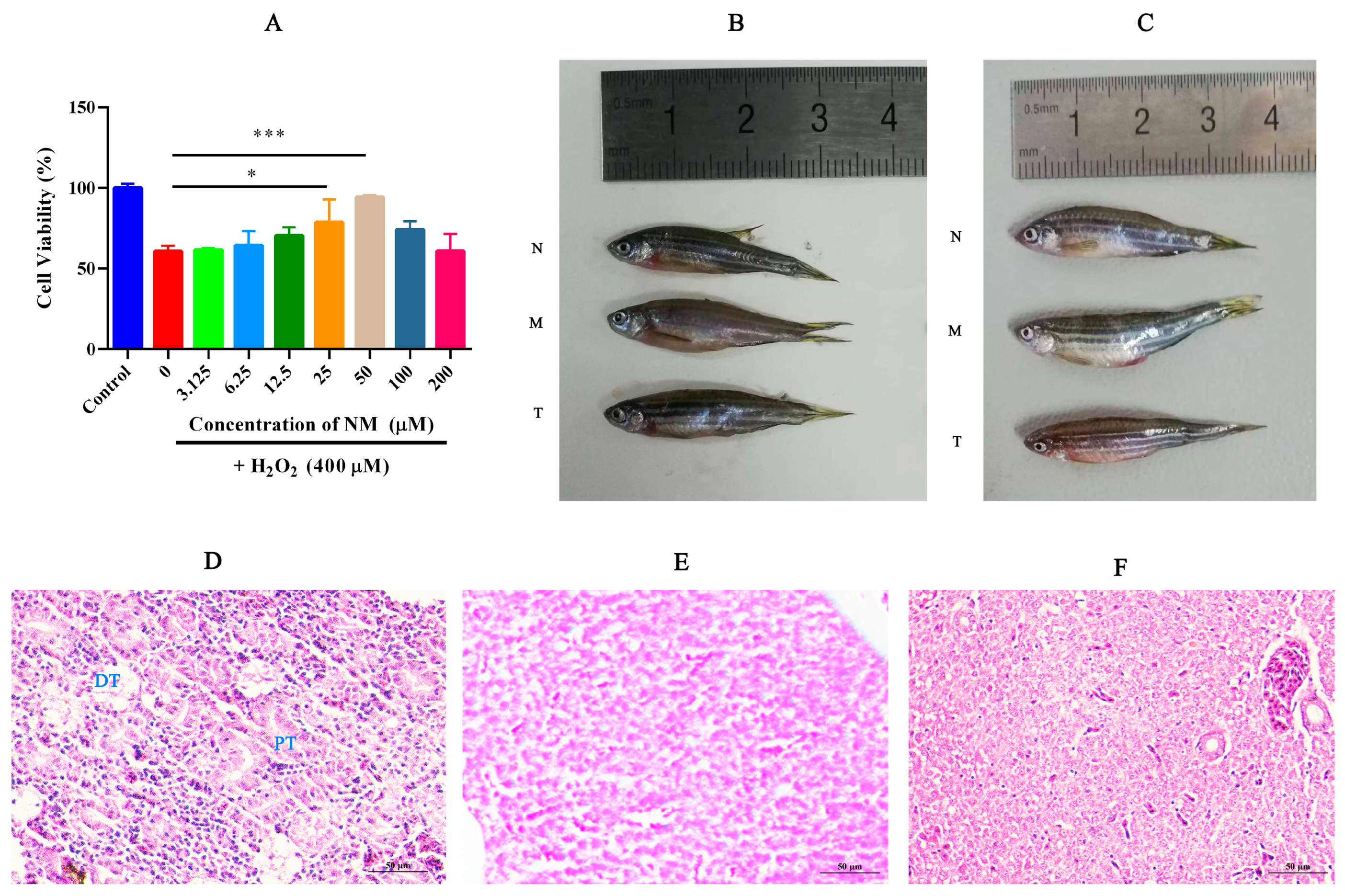 Toxins 17 00145 g001