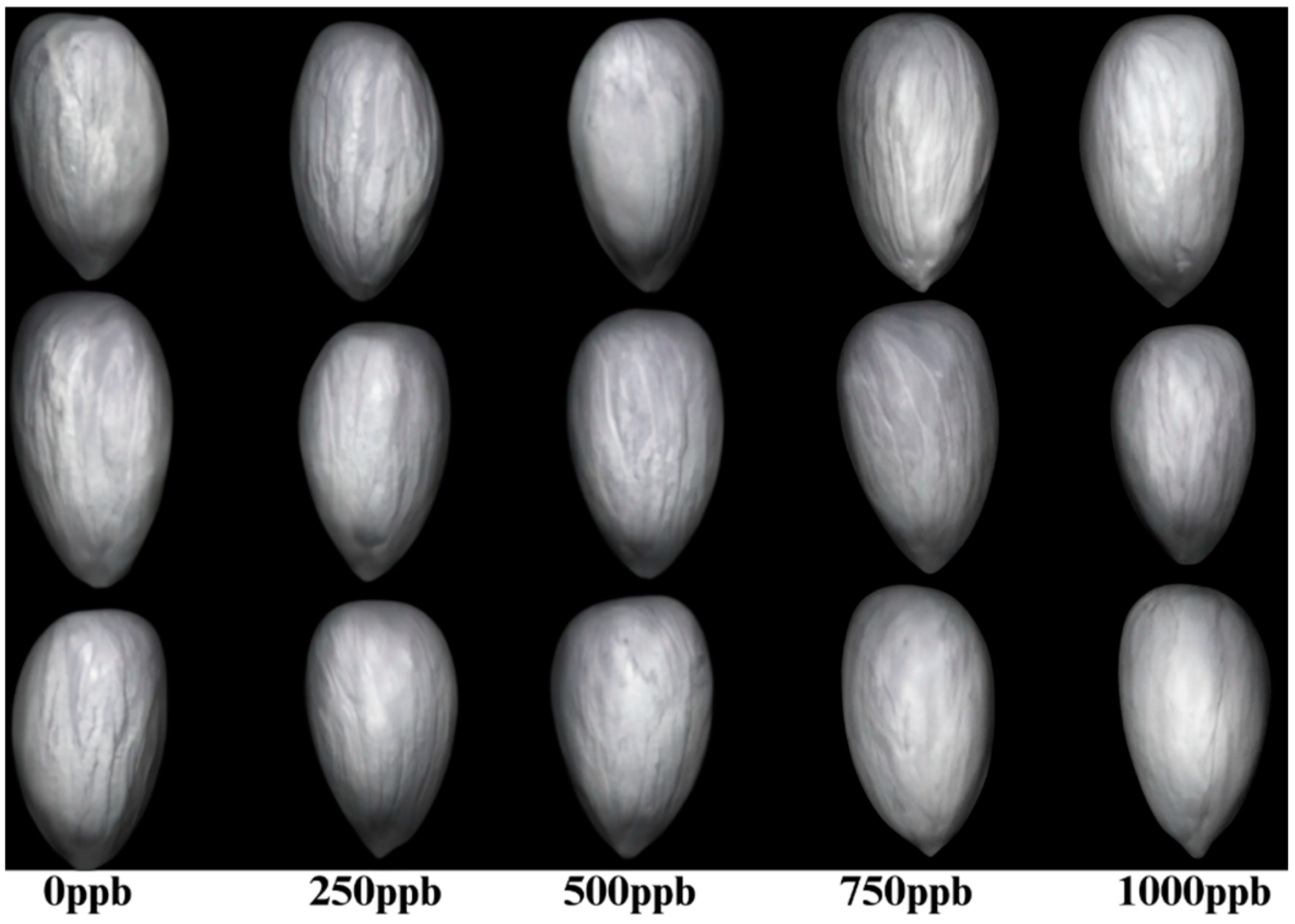 Toxins 17 00156 g005