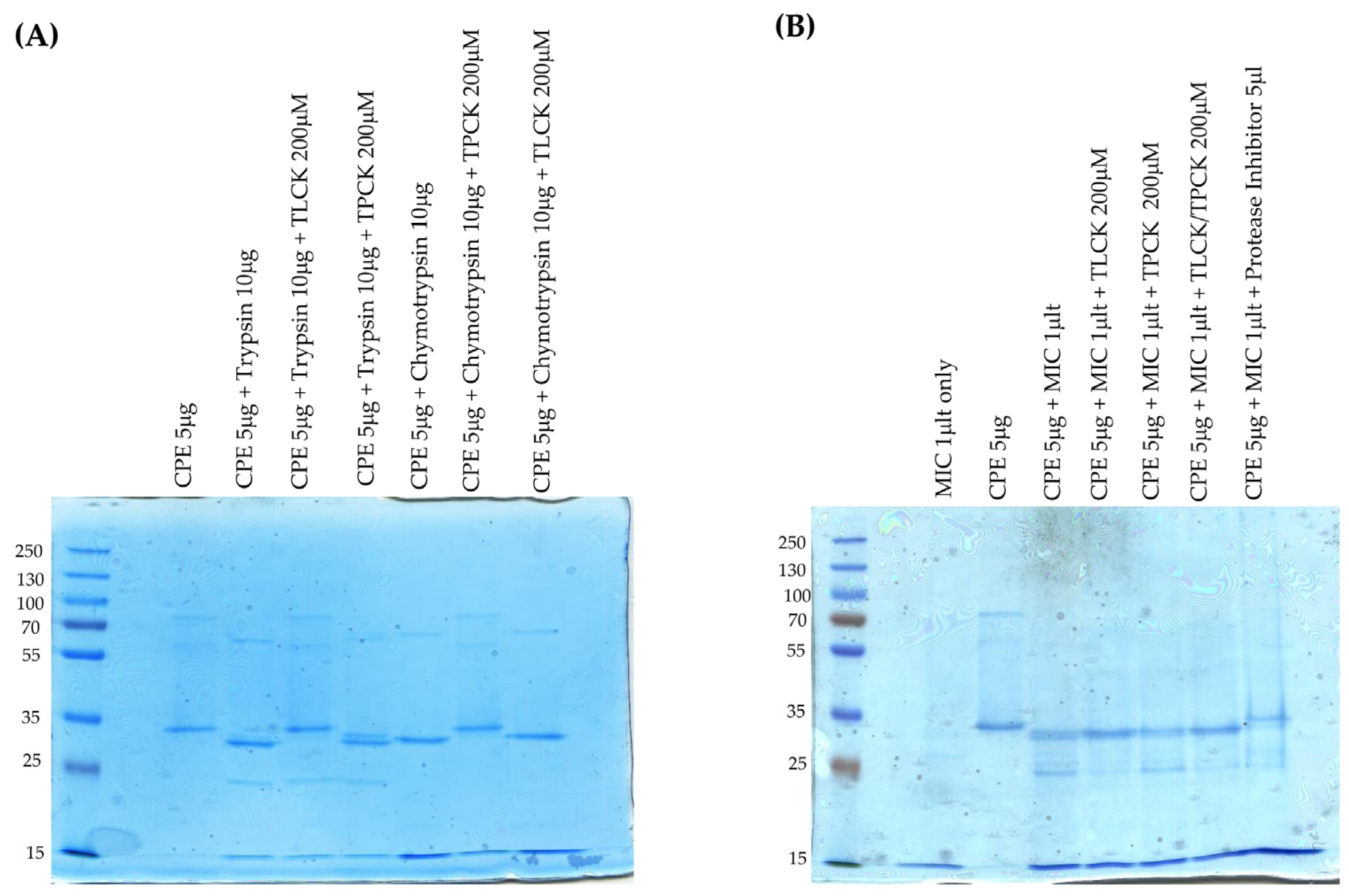 Toxins 17 00170 g003