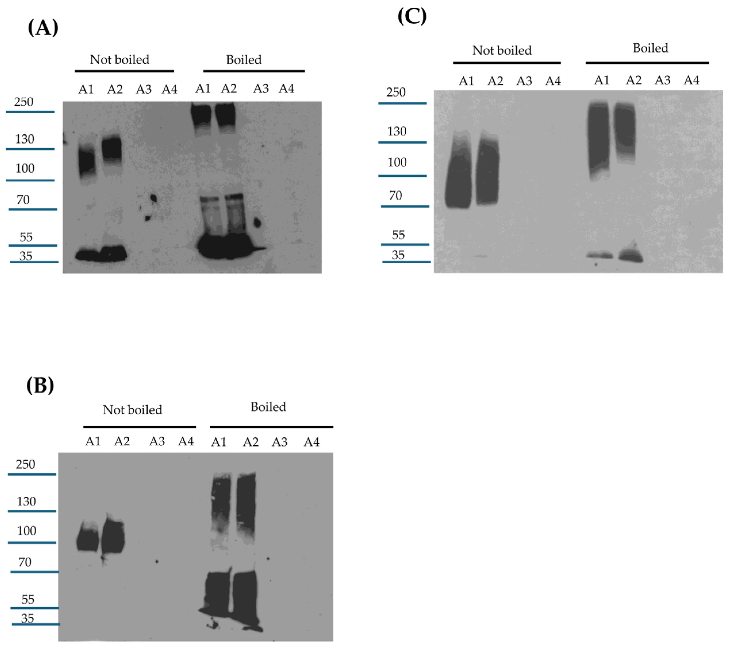 Toxins 17 00170 g005